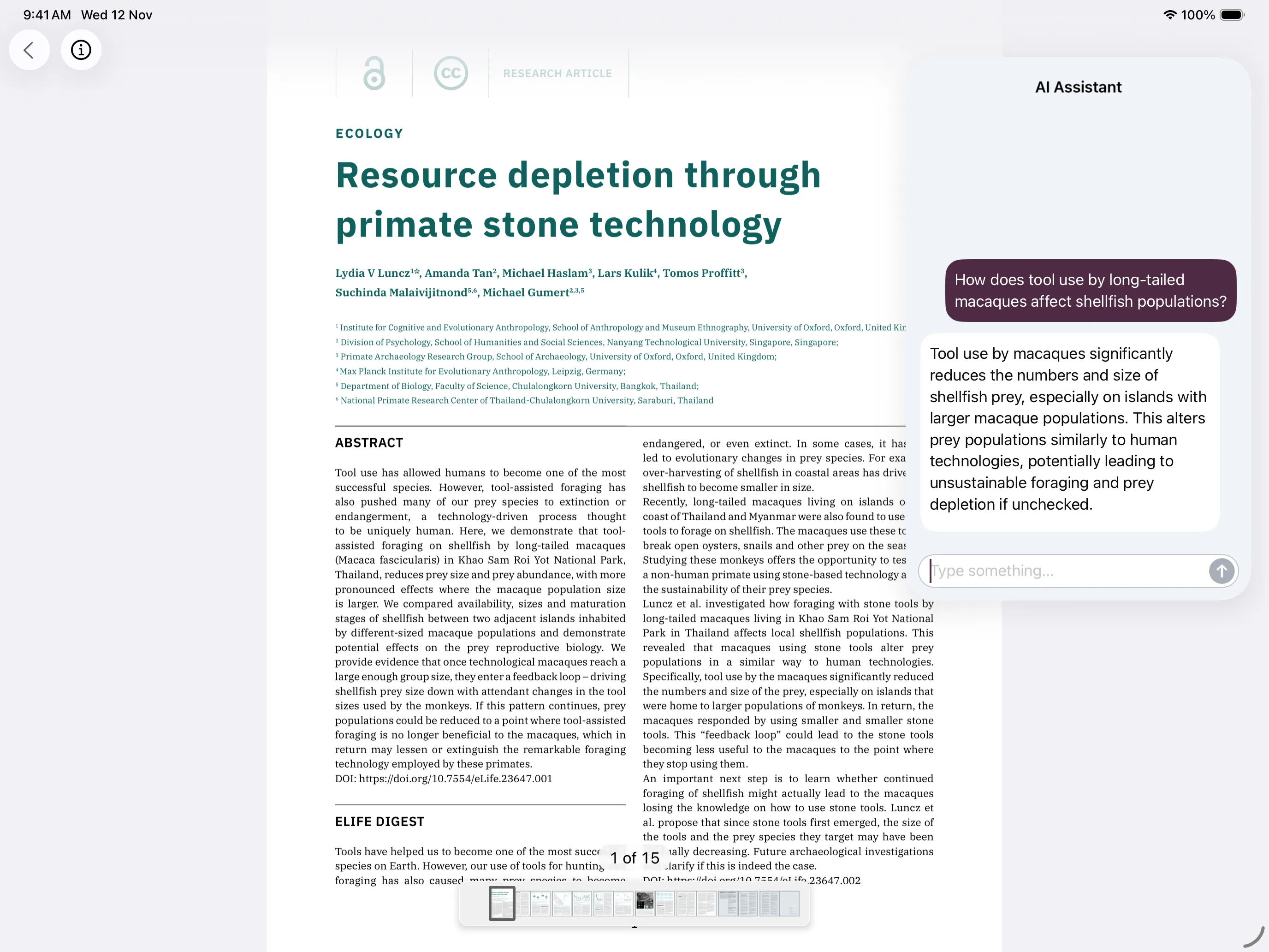 Screenshot of on-device AI Assistant on iPad