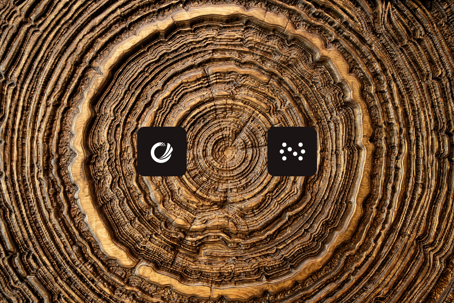 ORPALIS — Our story