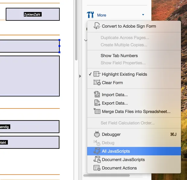 Acrobat All JavaScripts window