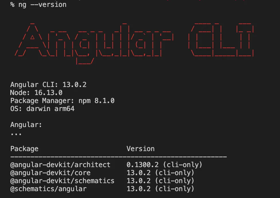 Screenshot showing the Angular version installed.
