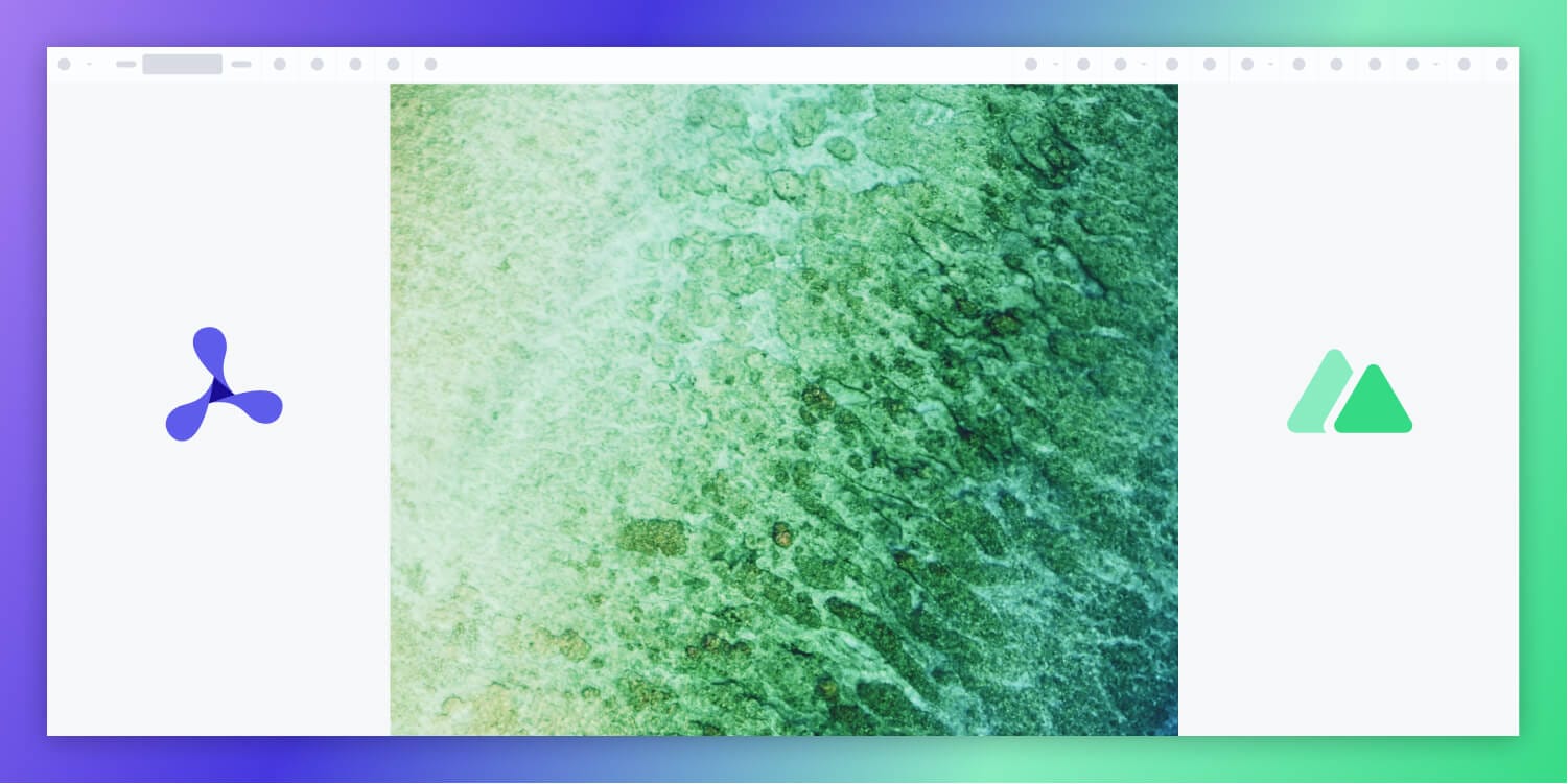 How to build a Nuxt.js image viewer