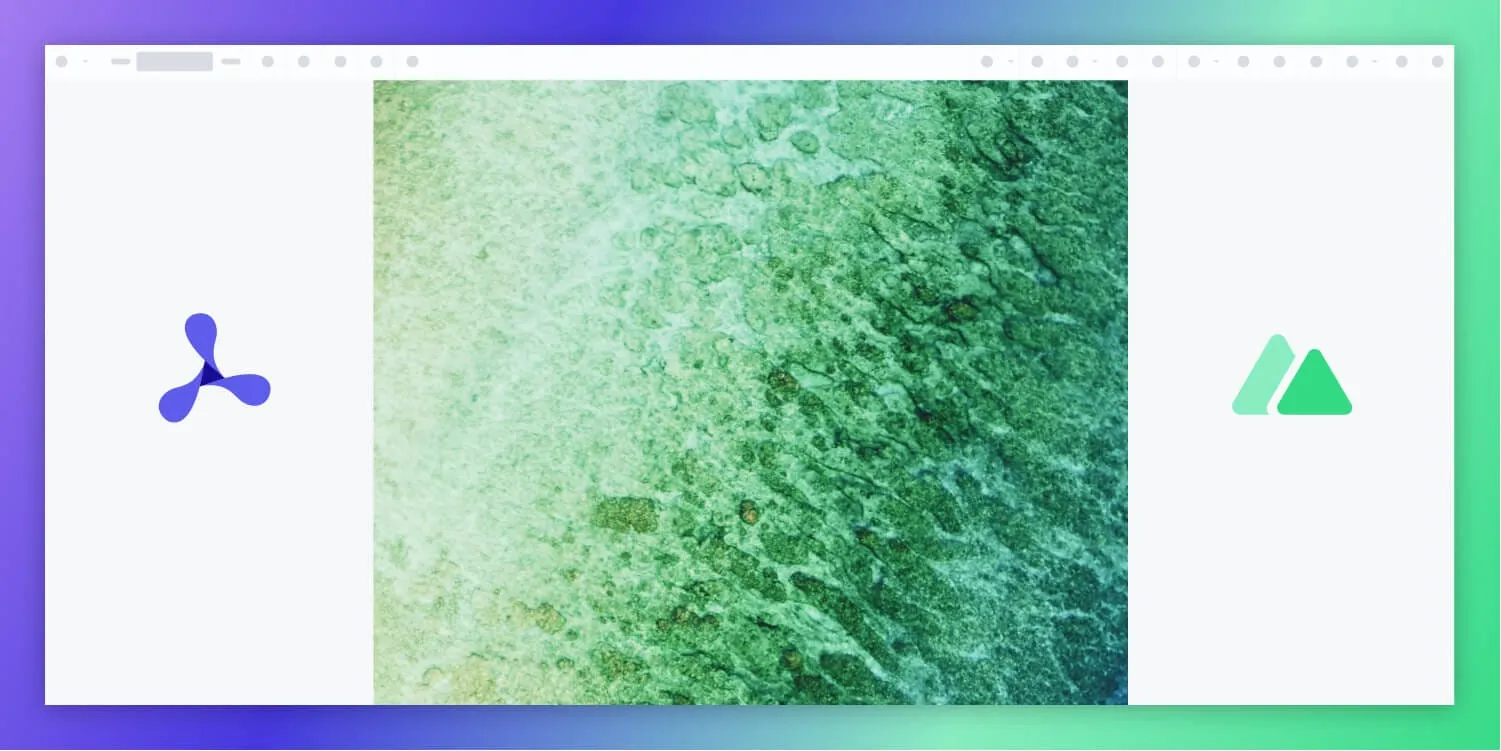 How to build a Nuxt.js image viewer