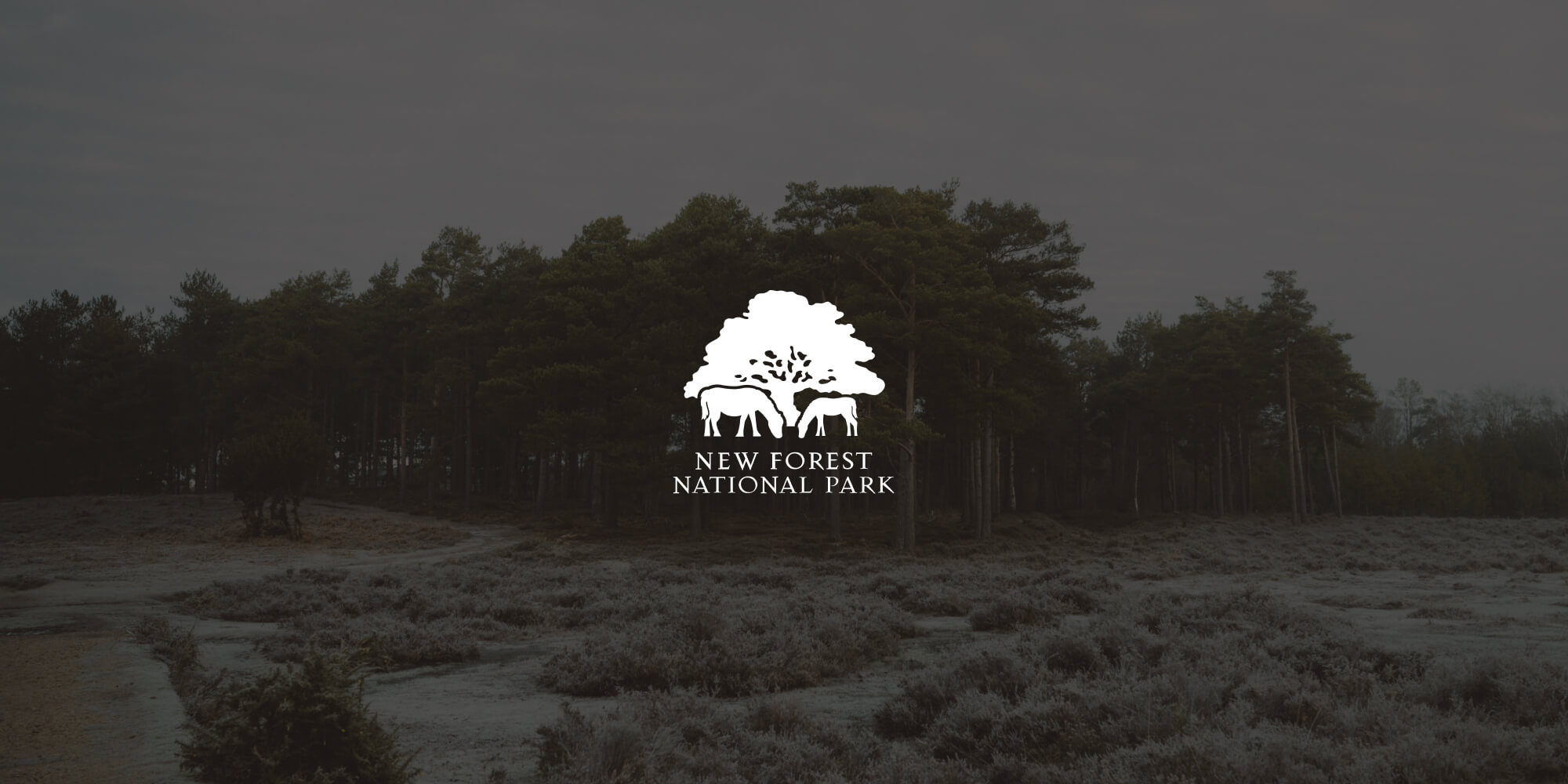 How New Forest National Park Authority uses Nutrient Document Automation Server to archive millions of documents and make them fully searchable