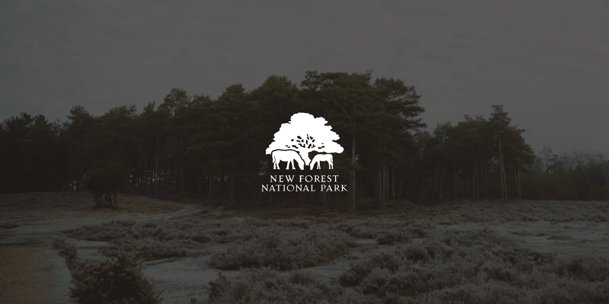 How New Forest National Park Authority uses Nutrient Document Automation Server to archive millions of documents and make them fully searchable