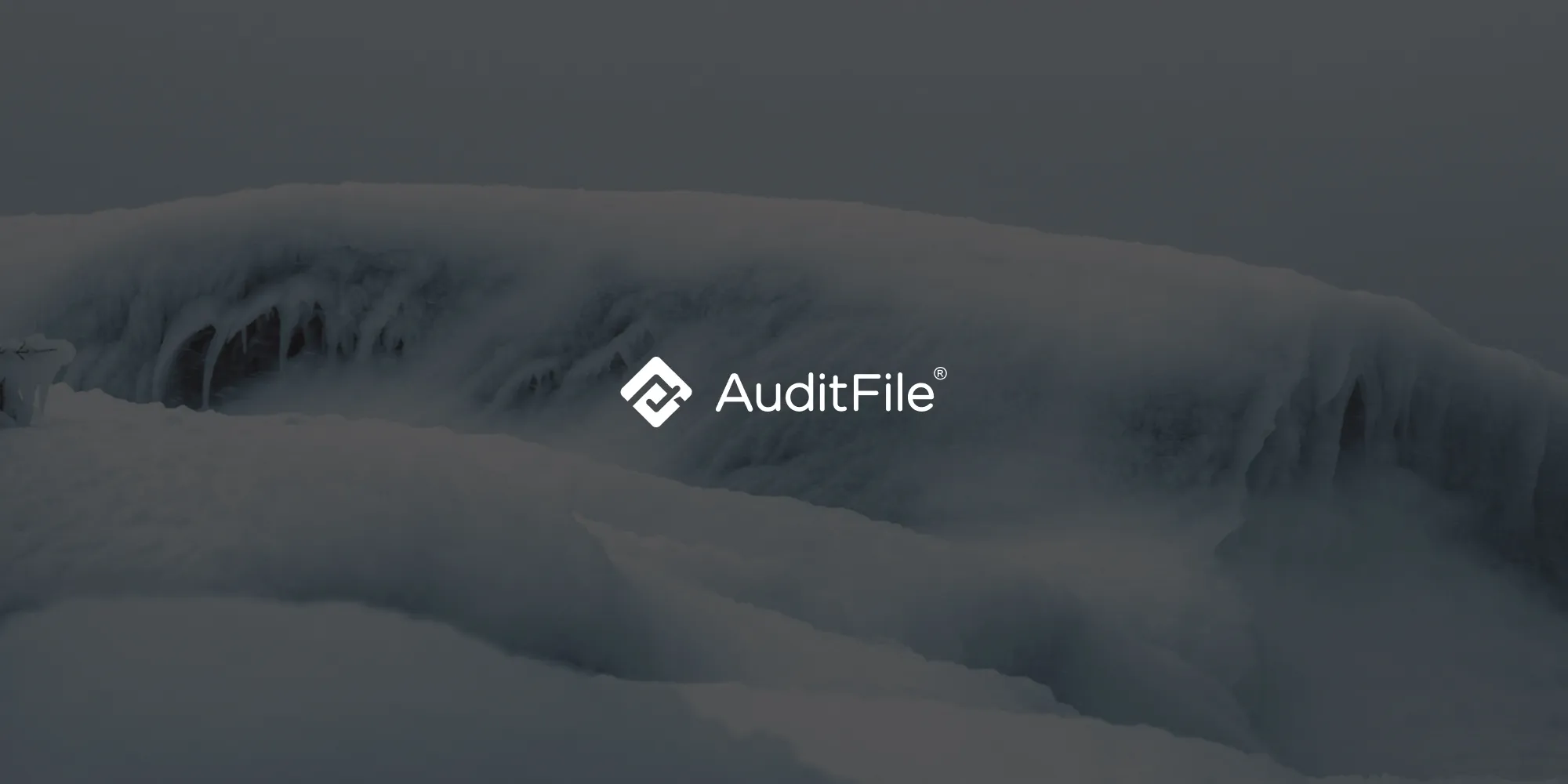 AuditFile builds a compliance-ready audit platform with self-hosted PDF editing