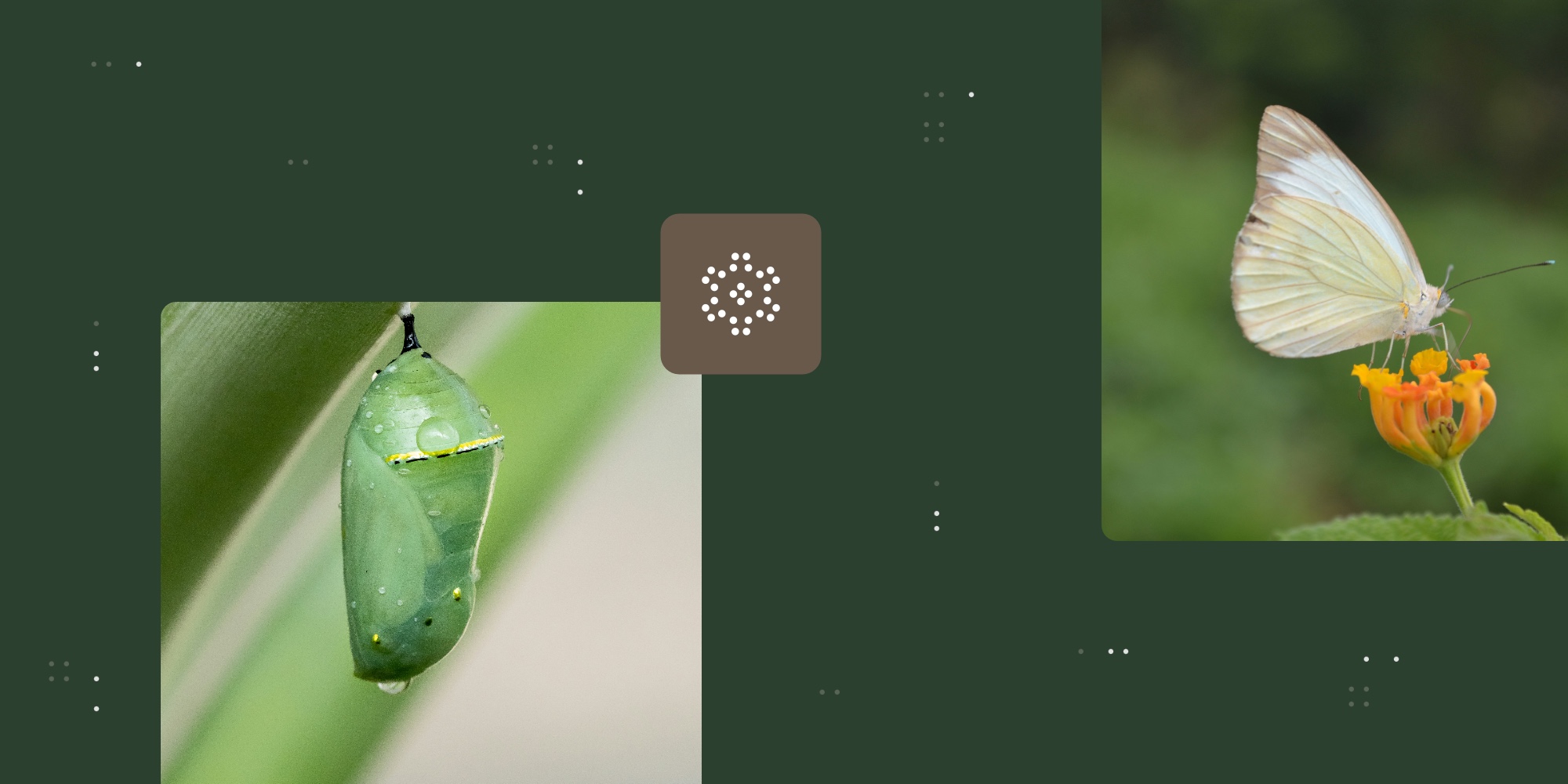 Transformation vs. change: What’s the difference?