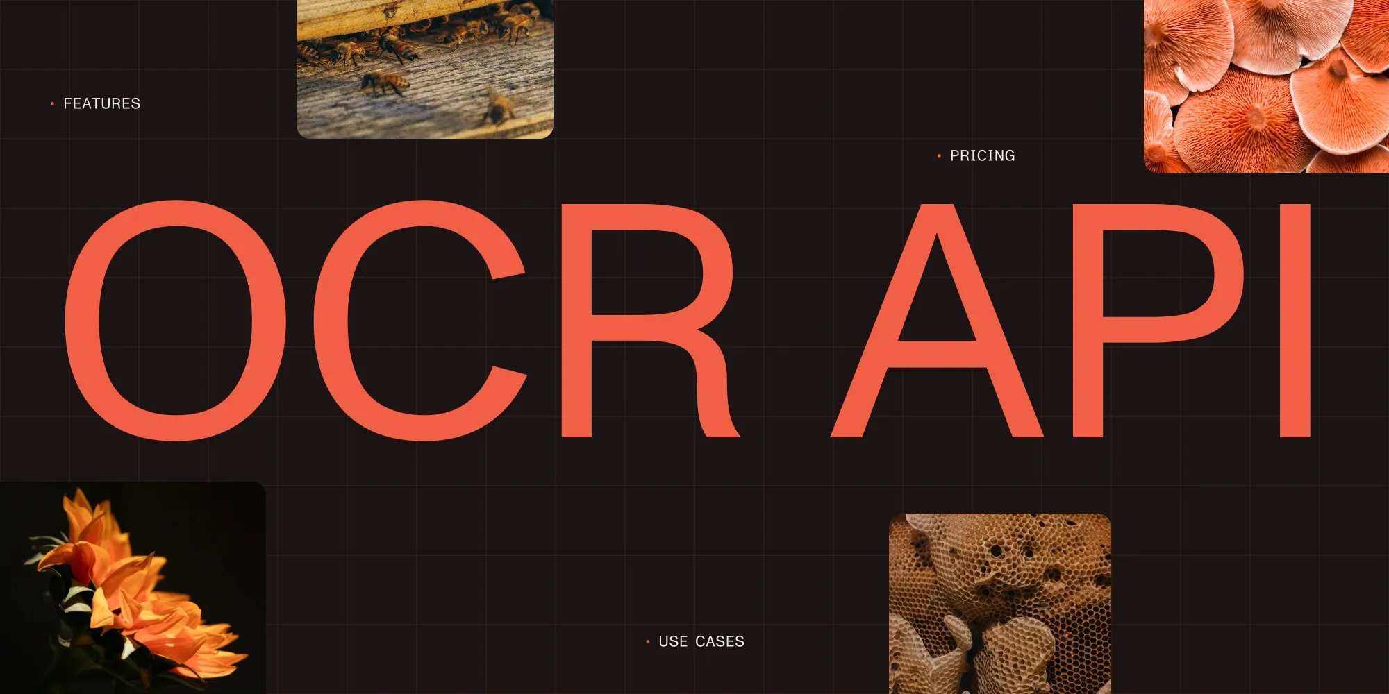 Featured image for article: OCR API comparison 2026: Features, pricing, and use cases