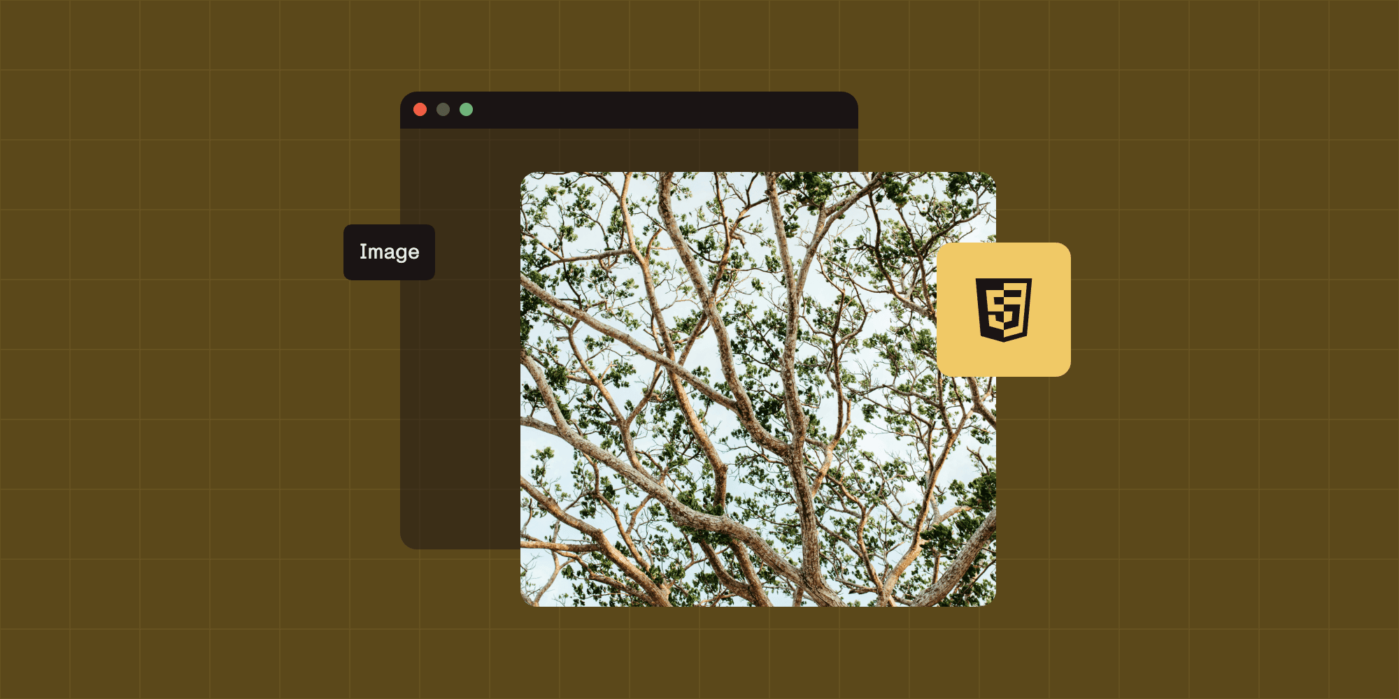 How to build an HTML5 image viewer