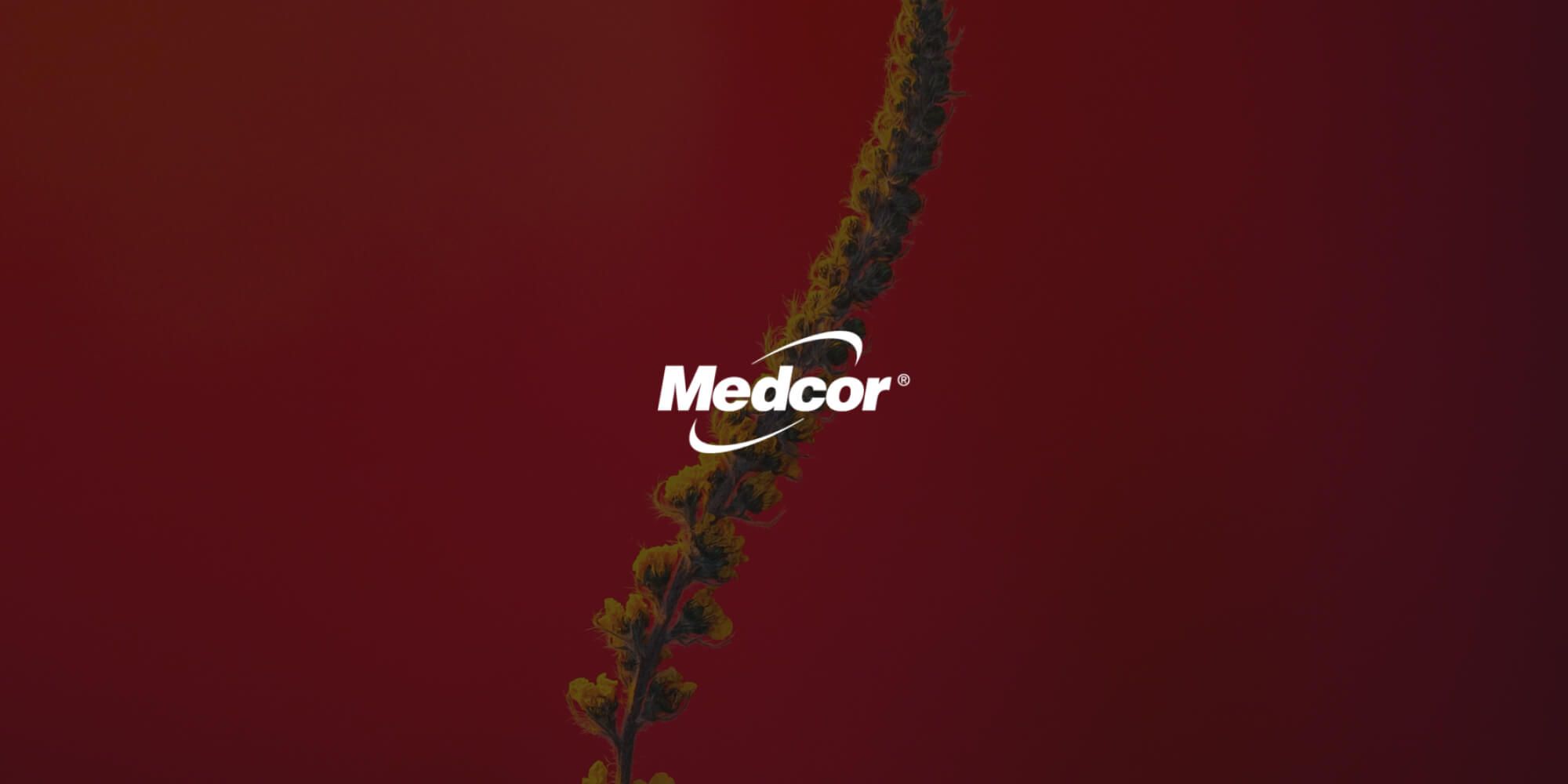 Medcor's journey to automate the new hire process