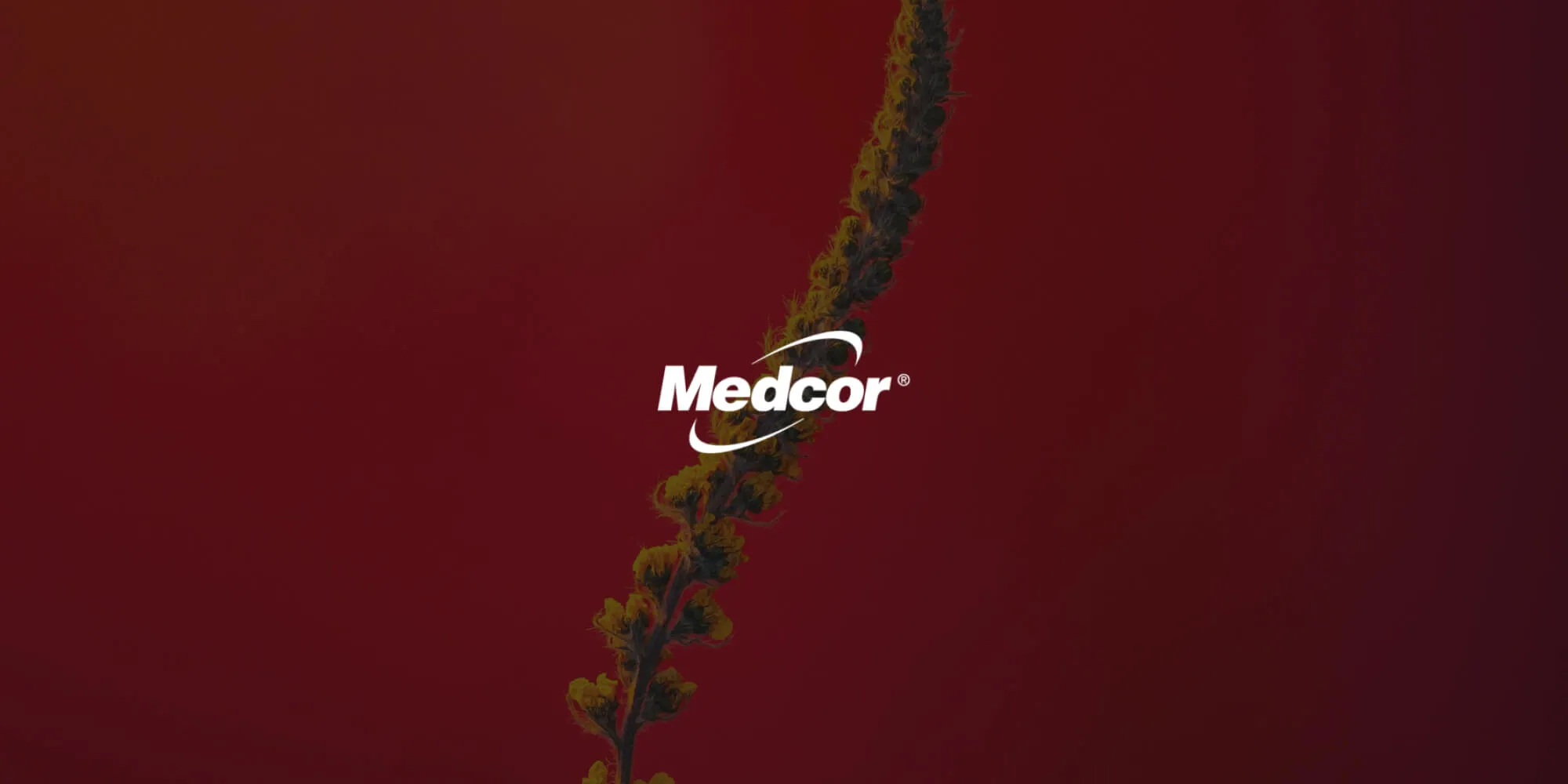 Medcor's journey to automate the new hire process