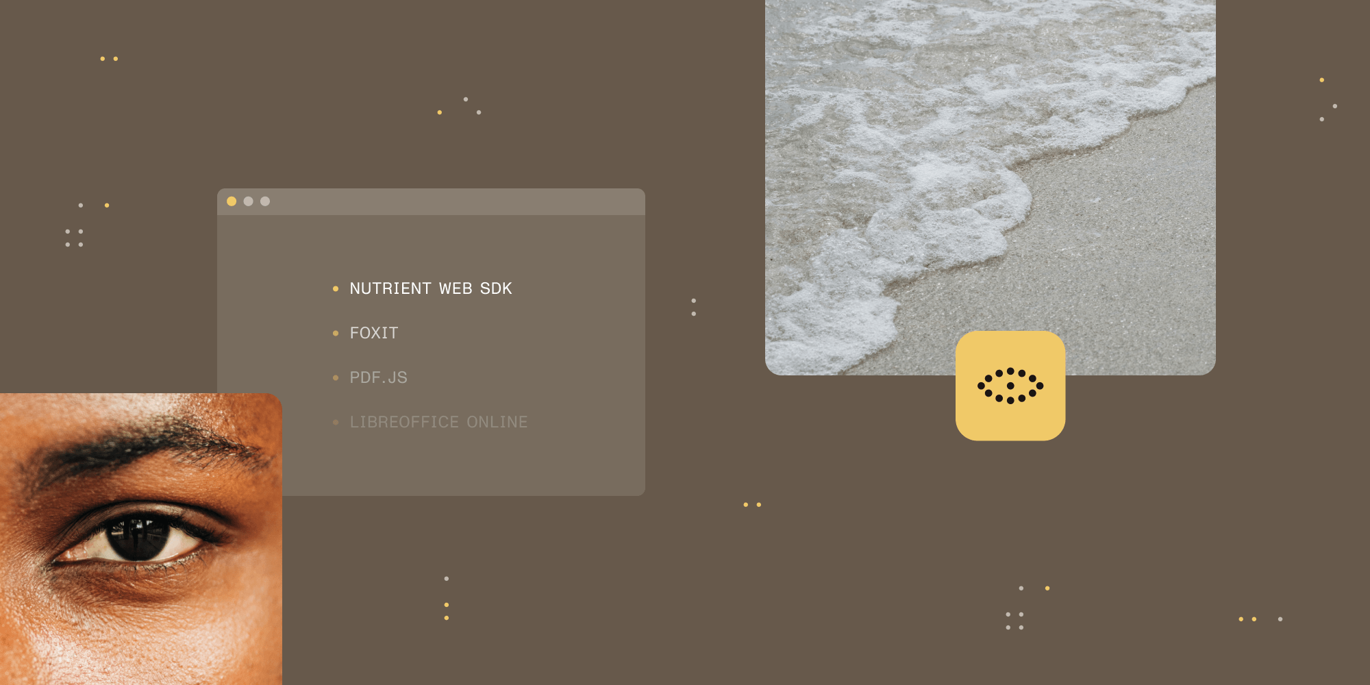 Best document viewers in 2026: A buyer’s guide