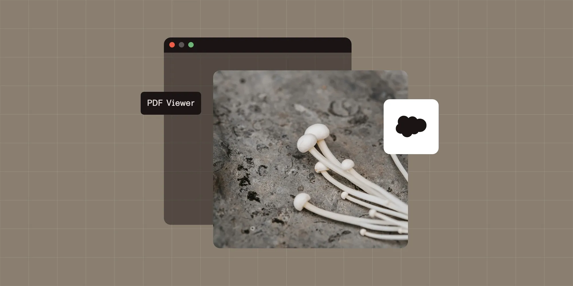 How to build a Salesforce PDF viewer with Nutrient