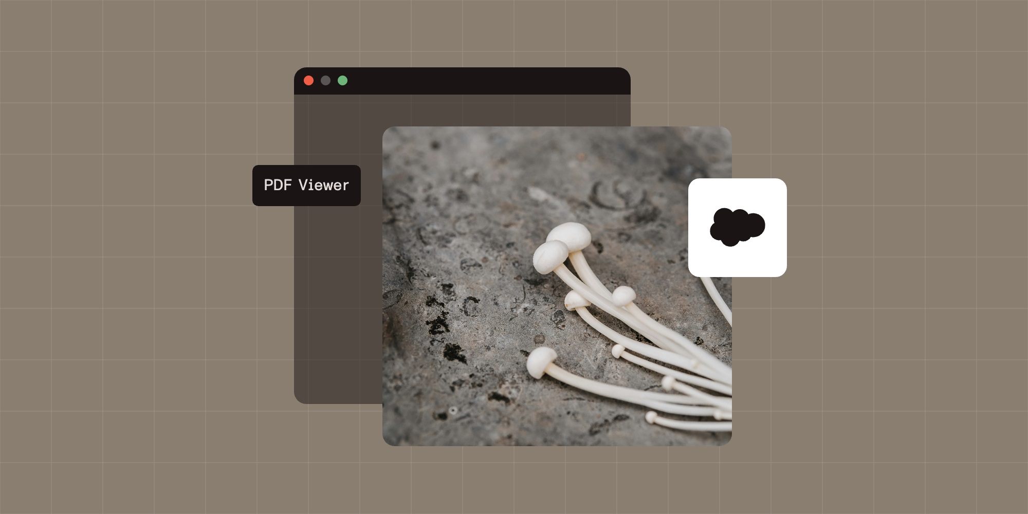 Featured image for article: How to build a Salesforce PDF viewer with Nutrient