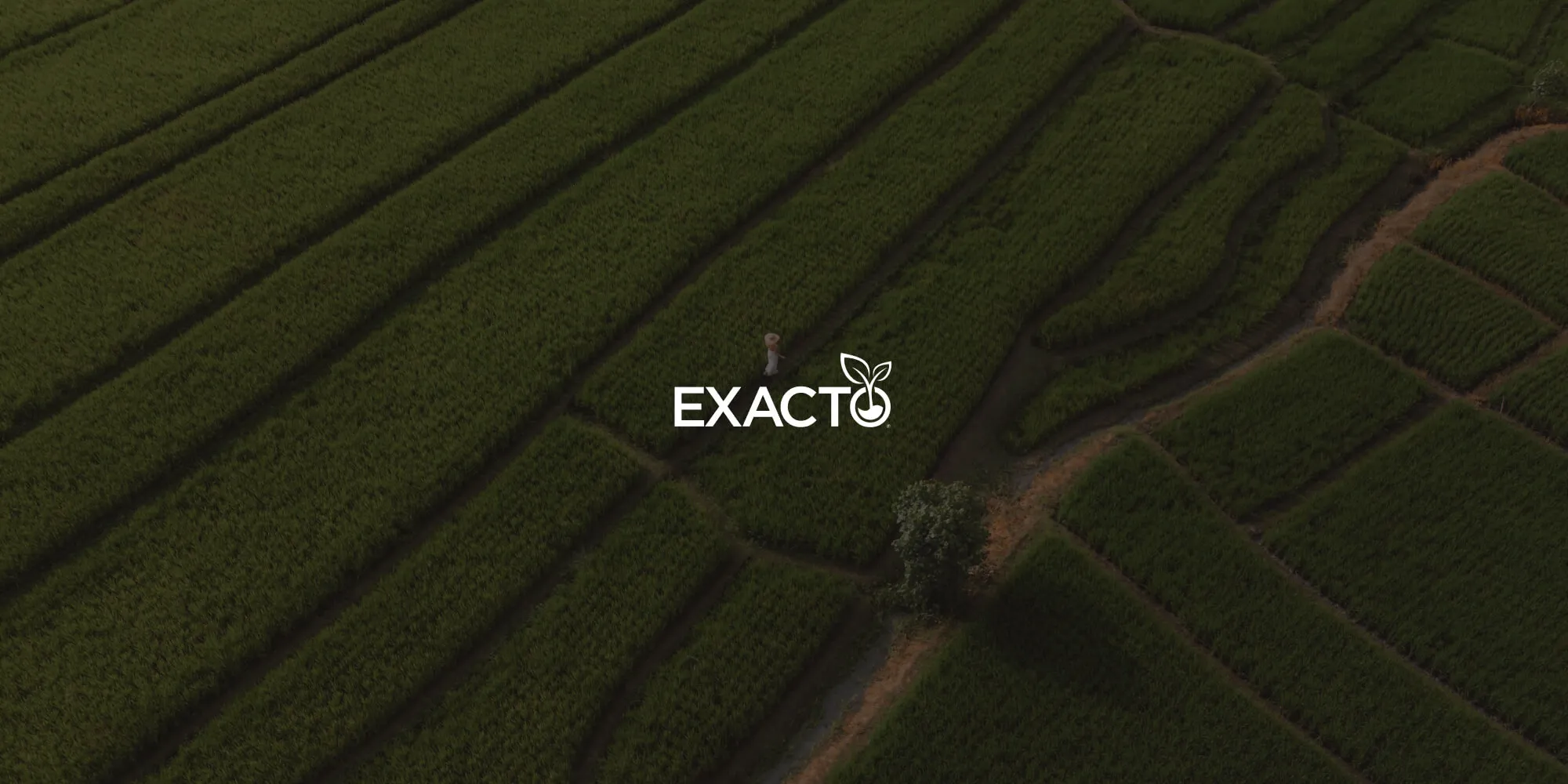 Exacto enhances request management and business efficiency using Nutrient Workflow