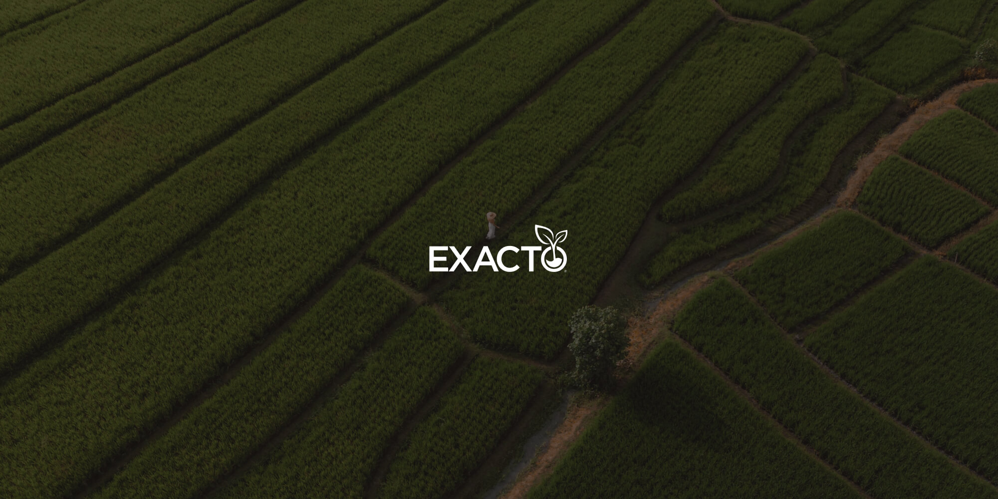 Exacto enhances request management and business efficiency using Nutrient Workflow