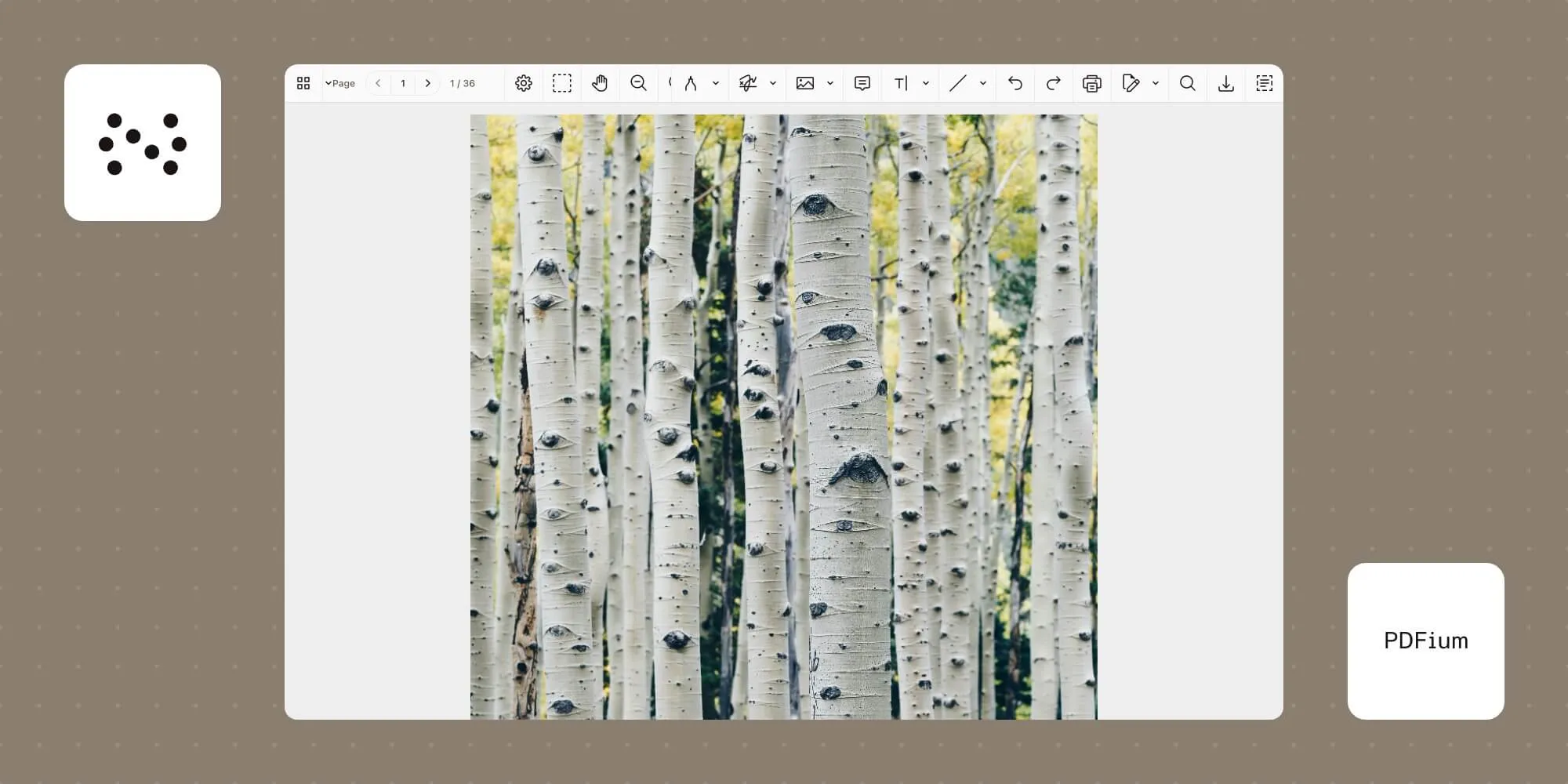 How to build a PDFium image viewer