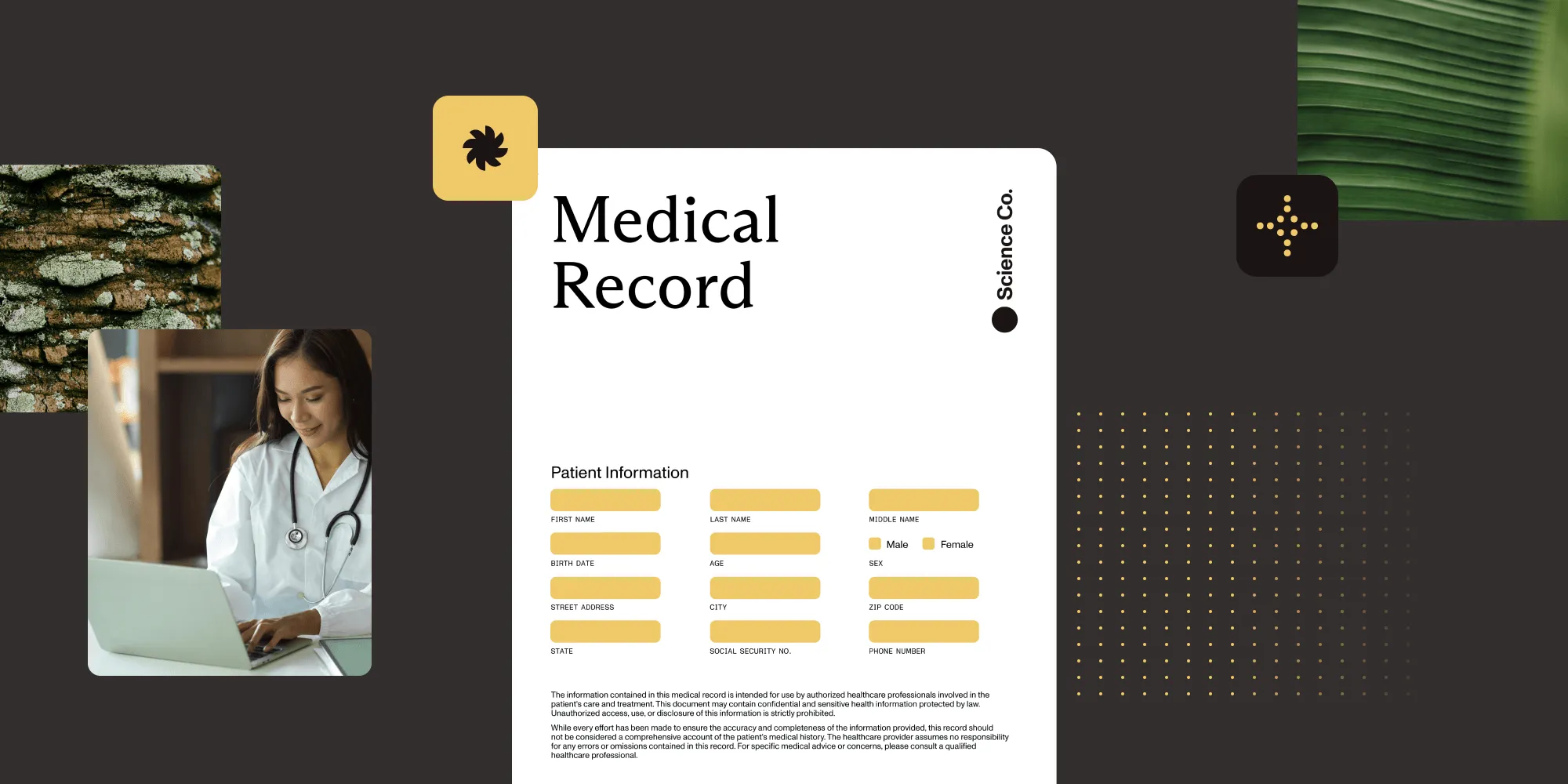 Featured image for article: How to extract data from patient documents on-premises with local AI
