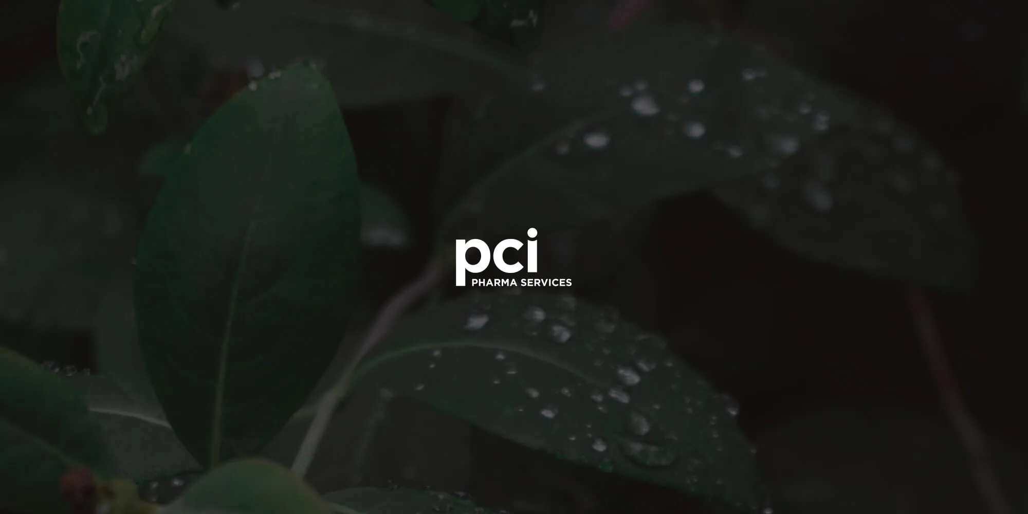 Optimize CapEx management for pharmaceutical growth with PCI Pharma Services