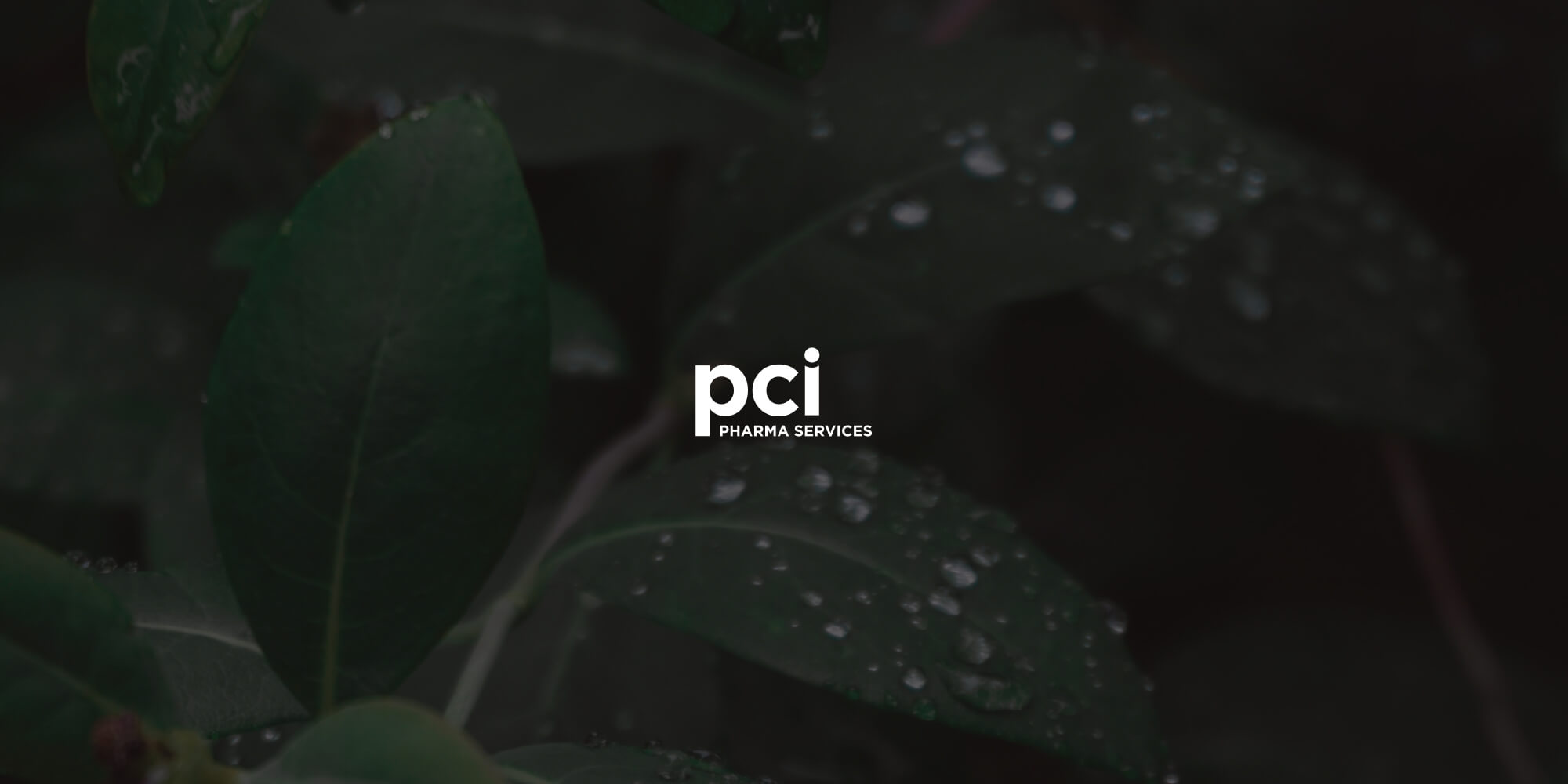 Optimize CapEx management for pharmaceutical growth with PCI Pharma Services