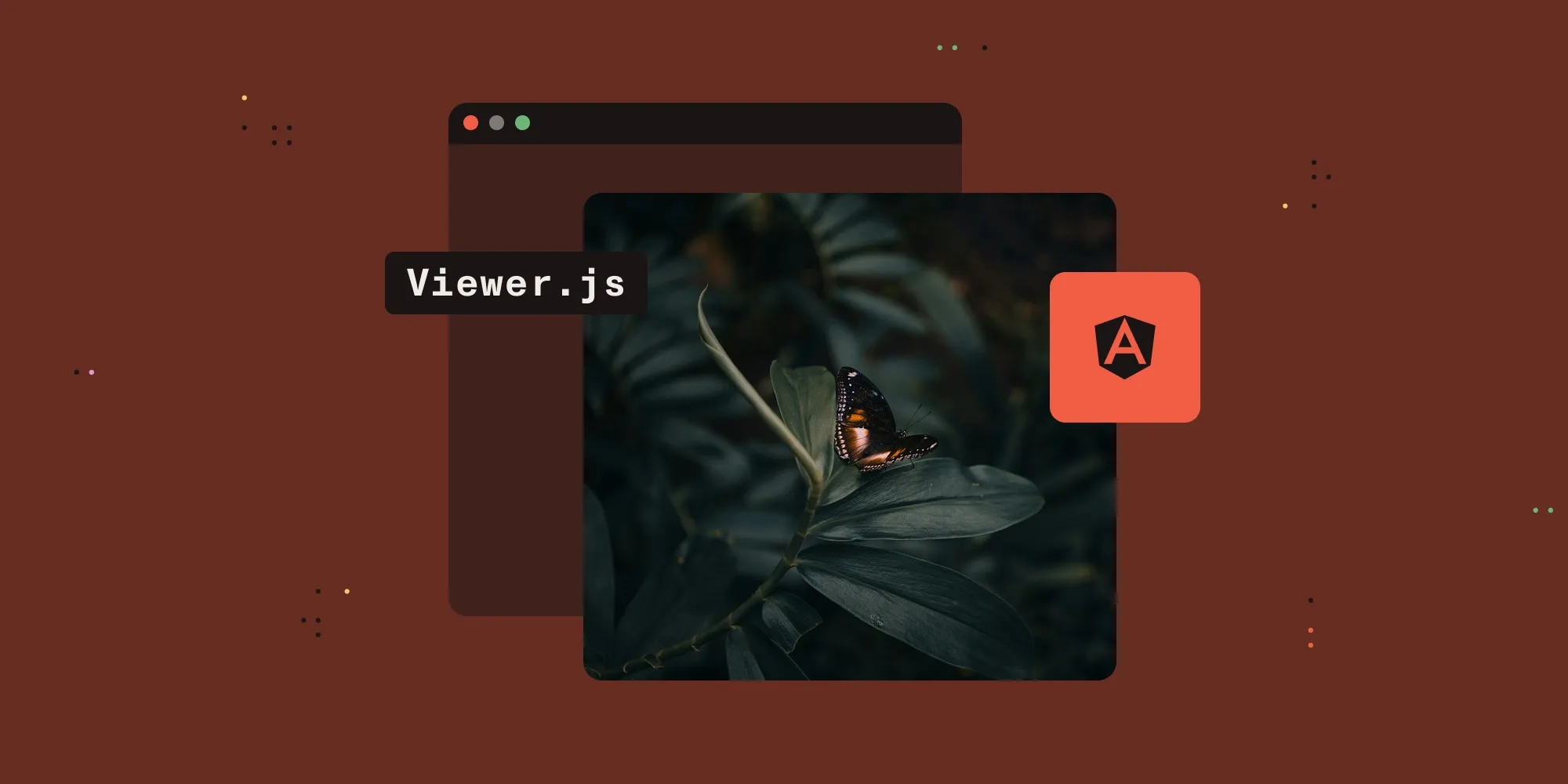 Featured image for article: How to build an Angular image viewer with Viewer.js