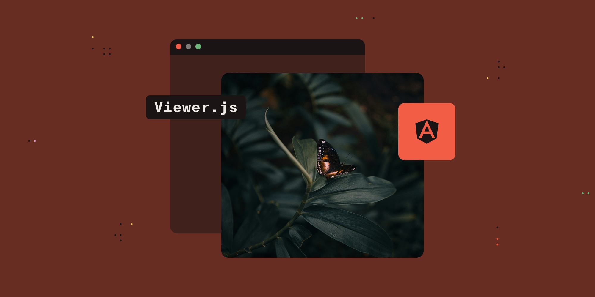 Featured image for article: How to build an Angular image viewer with Viewer.js