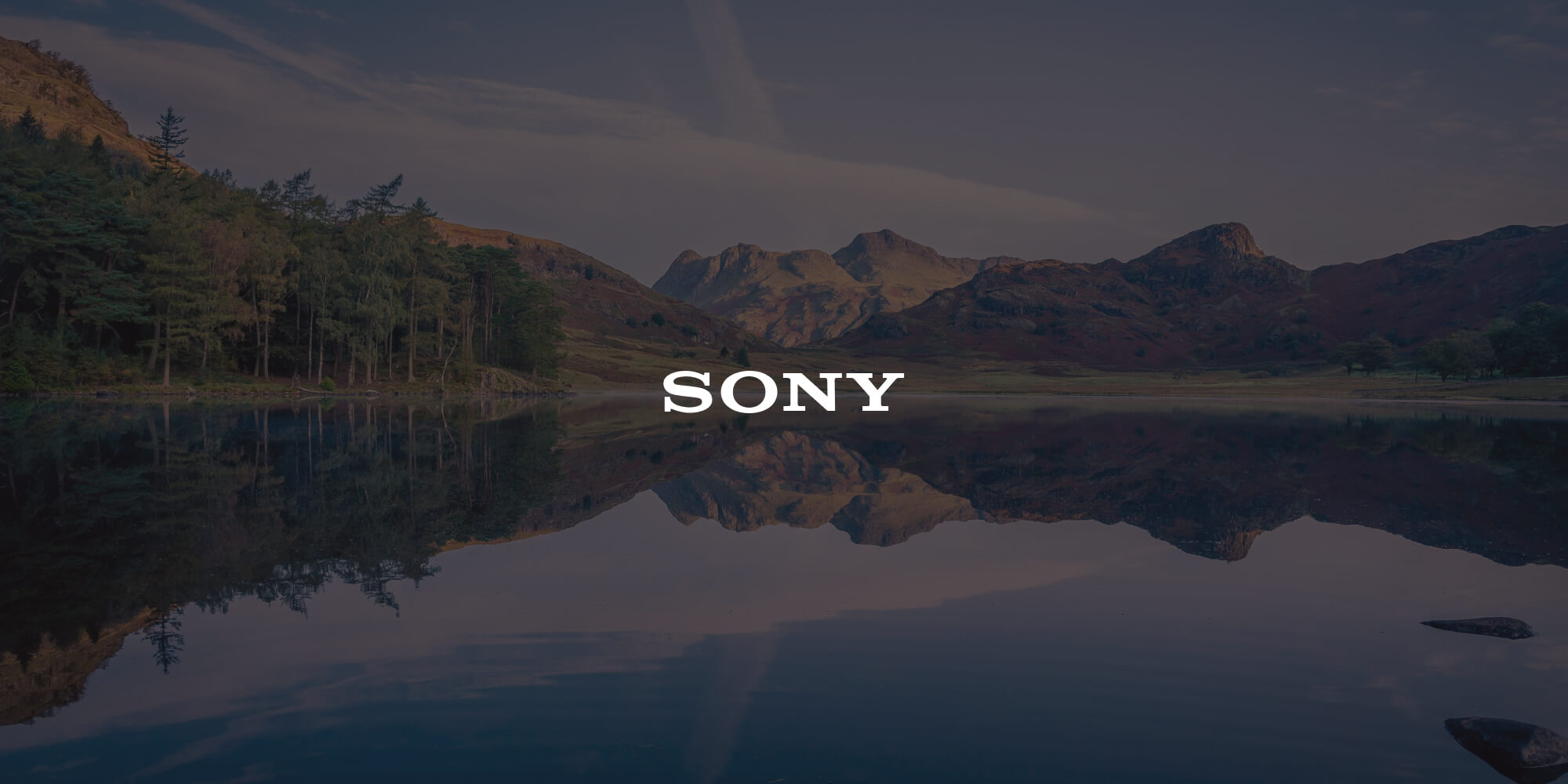 How Sony optimized workflows and reporting