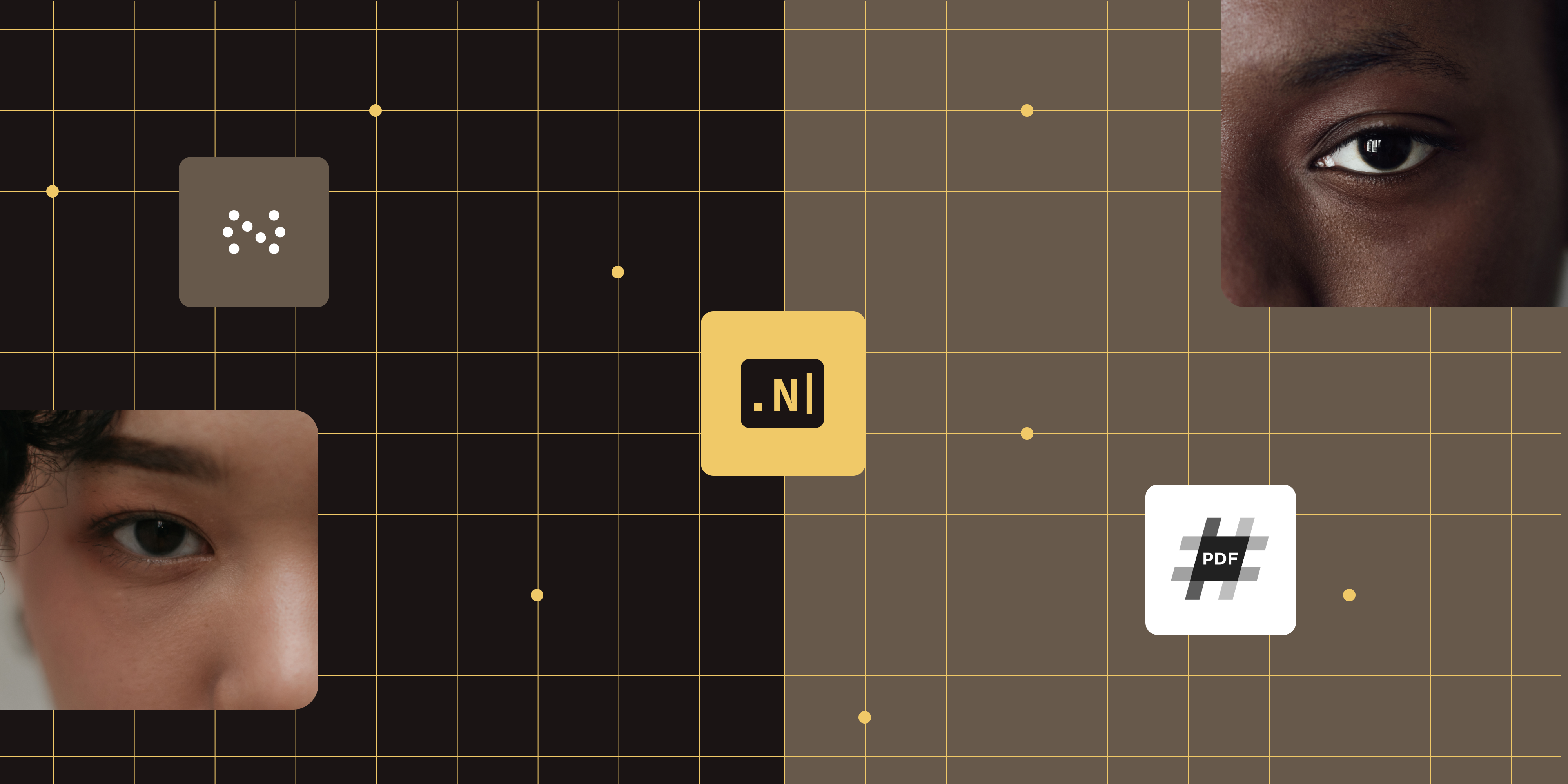 Featured image for article: Nutrient vs. IronPDF: Complete comparison for .NET developers