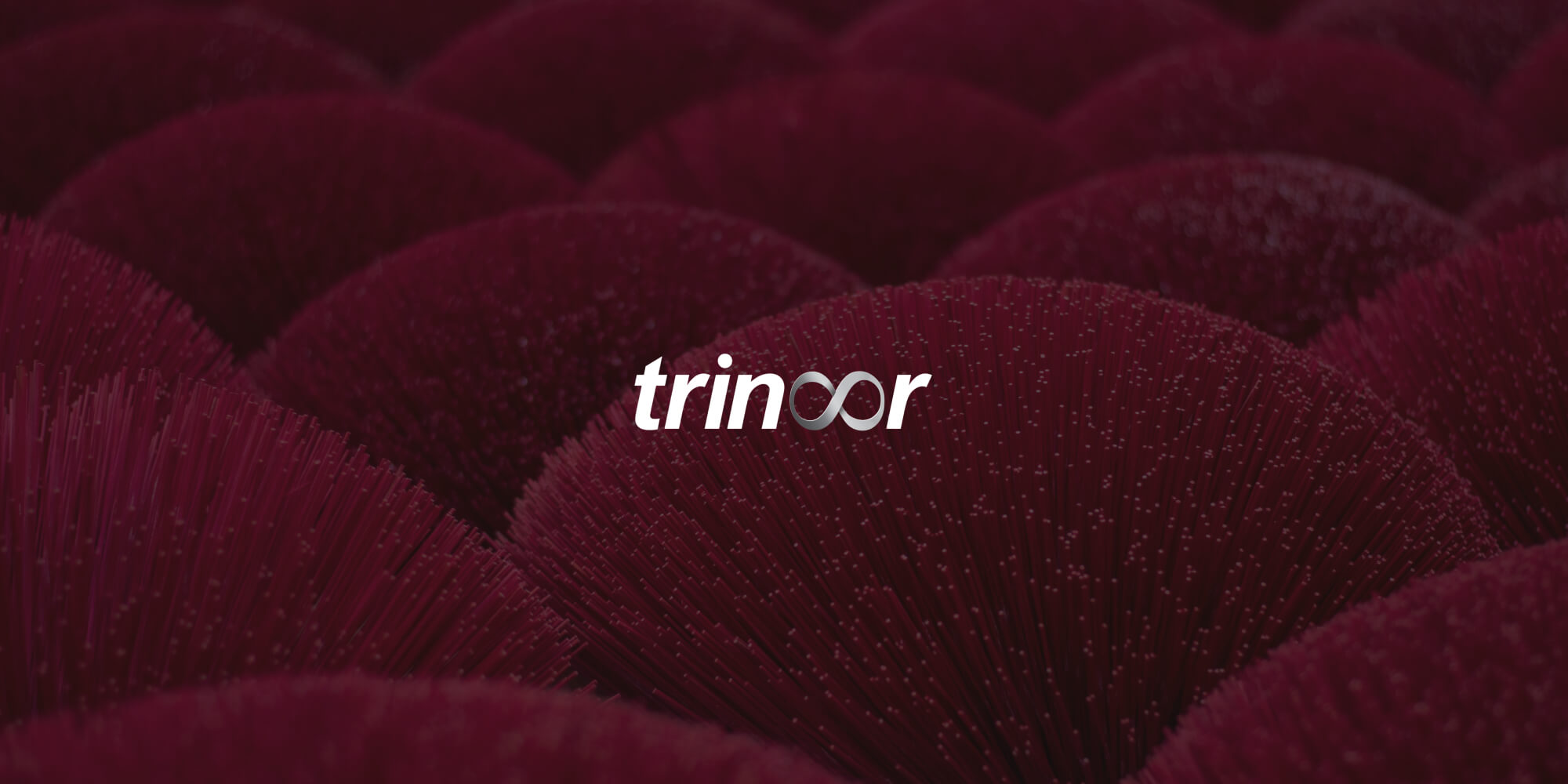 How Trinoor uses Nutrient to drive operational excellence with flexible, mobile applications for the energy and utilities market