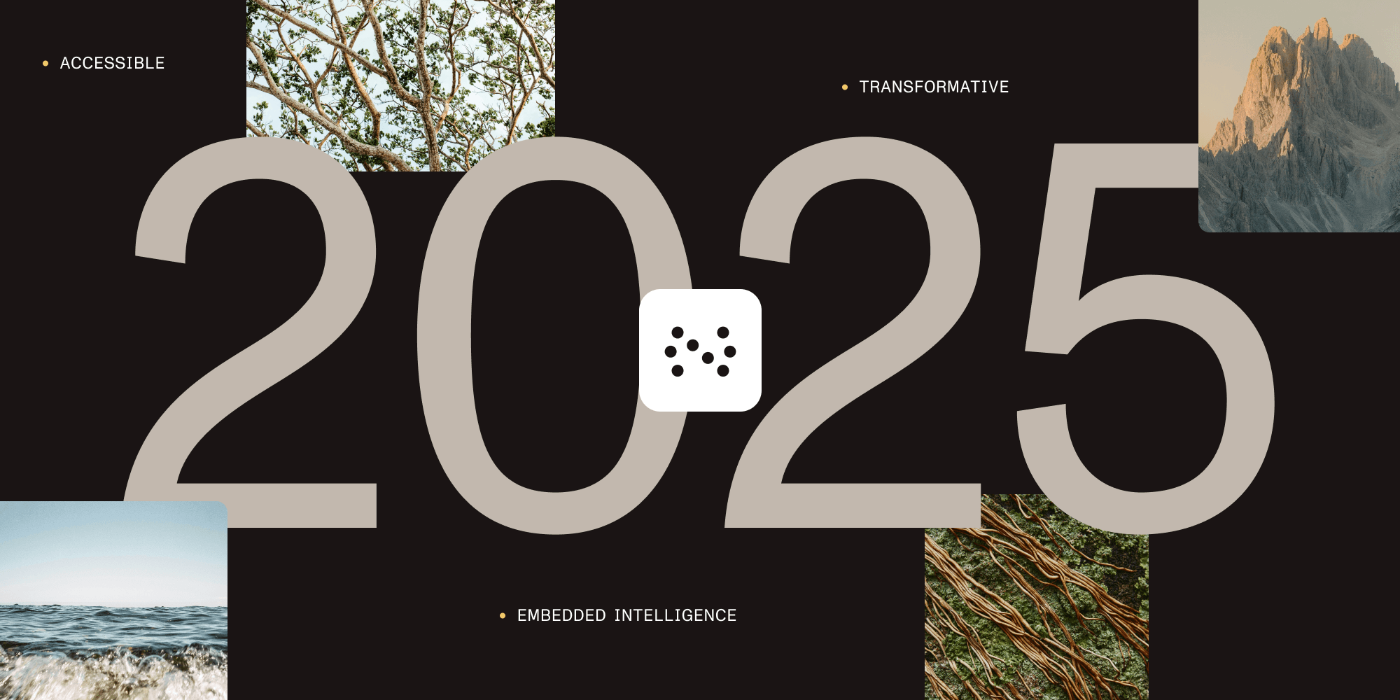 2025: Year in review