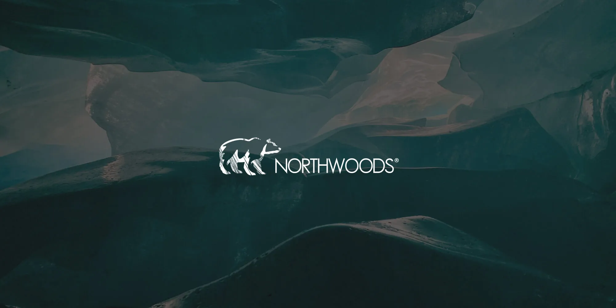 HIPAA compliance without compromise: Northwoods’ journey to modern PDF experiences