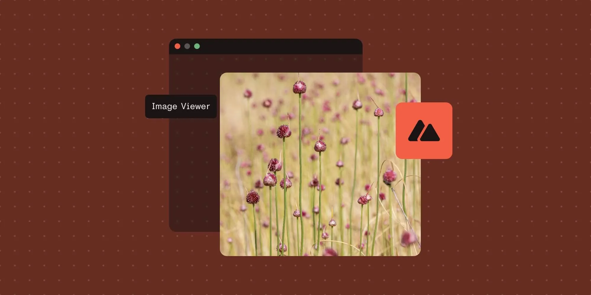 How to build a Nuxt.js image viewer