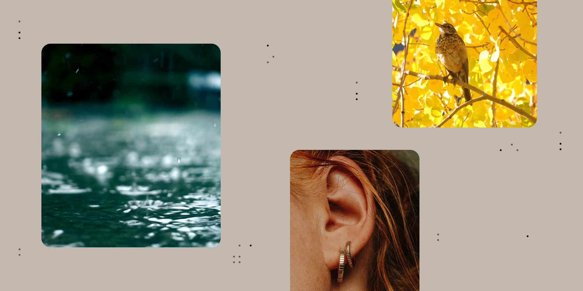 Featured image for article: The Nutrient audio brand