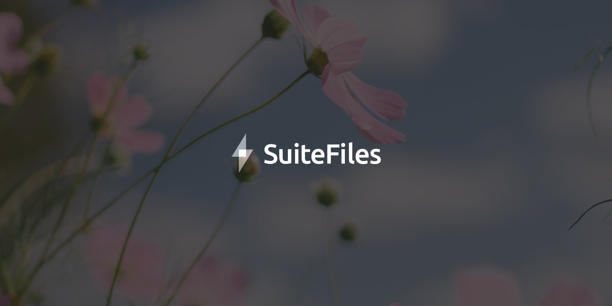 SuiteFiles integrates Nutrient Web SDK, enhancing user experience and eliminating subscription fatigue