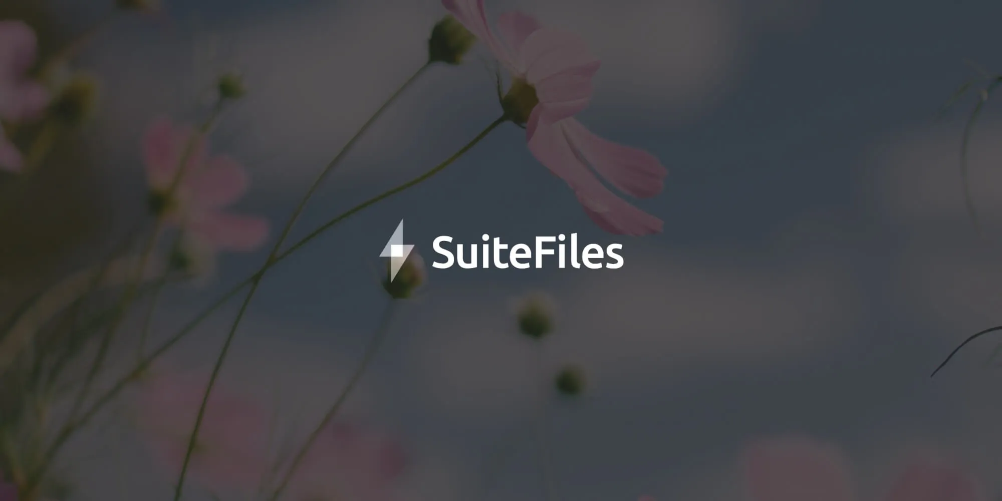 SuiteFiles integrates Nutrient Web SDK, enhancing user experience and eliminating subscription fatigue