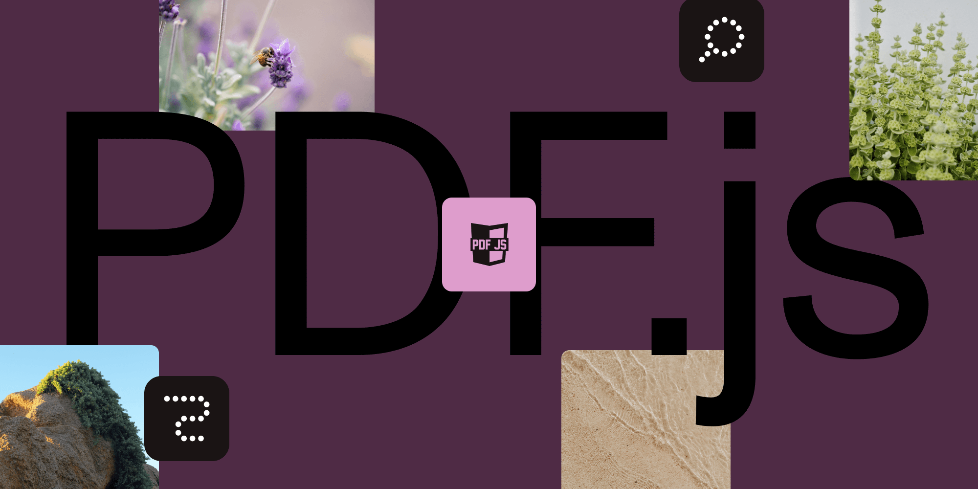 Complete guide to PDF.js