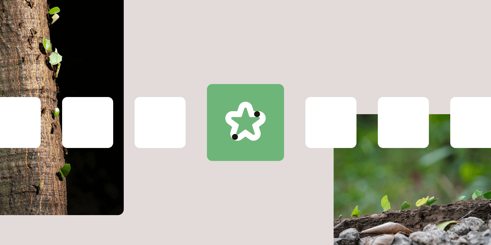 Workflow system — Choosing the right platform