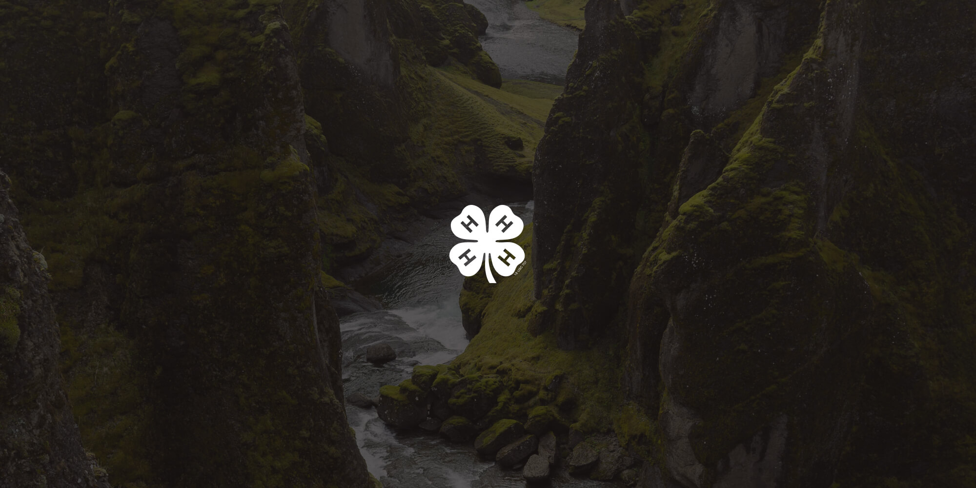 4-H automates and streamlines the curriculum peer review process