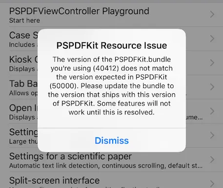 Bundle version issue