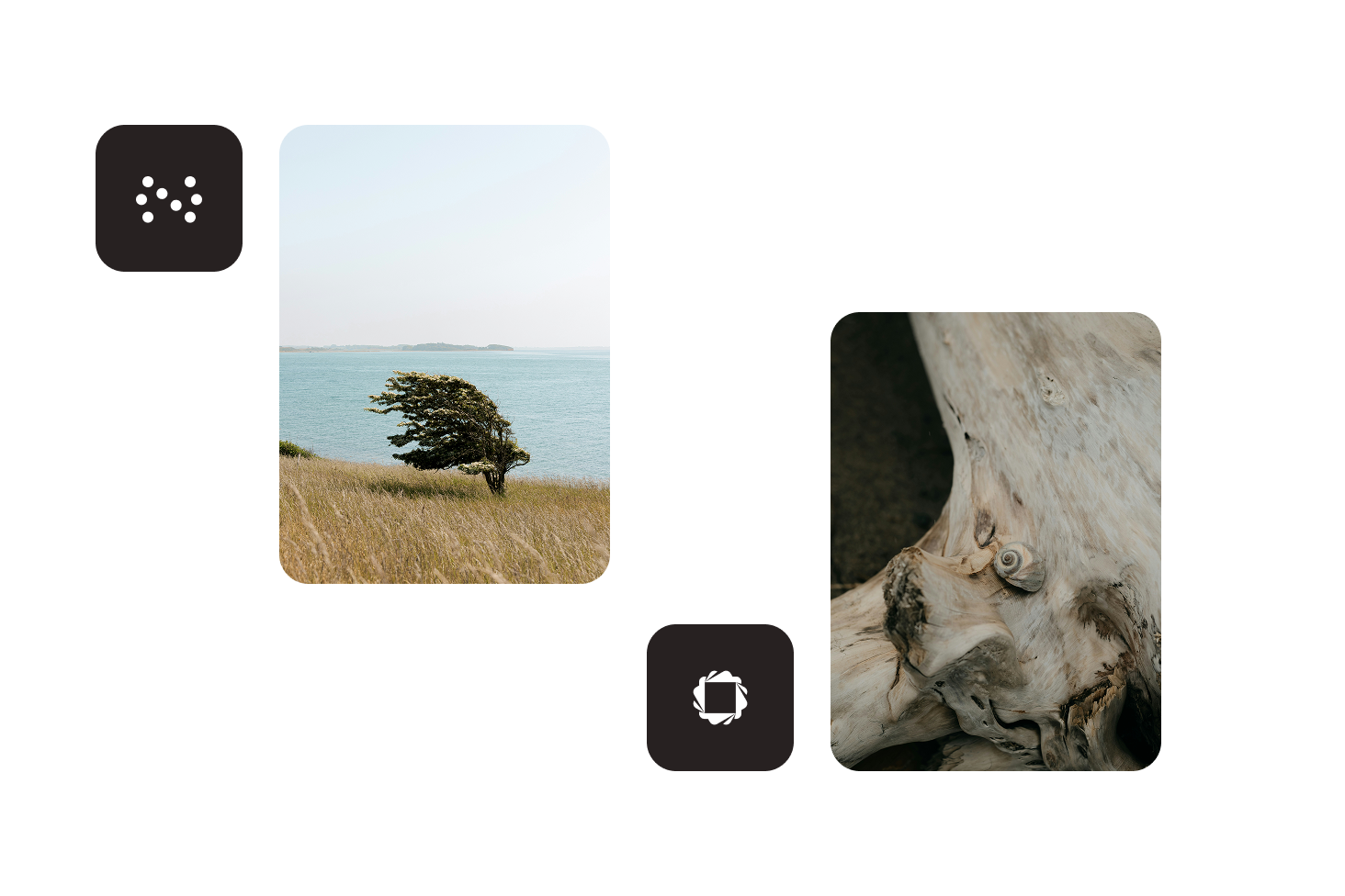 Compare Nutrient to Apyse