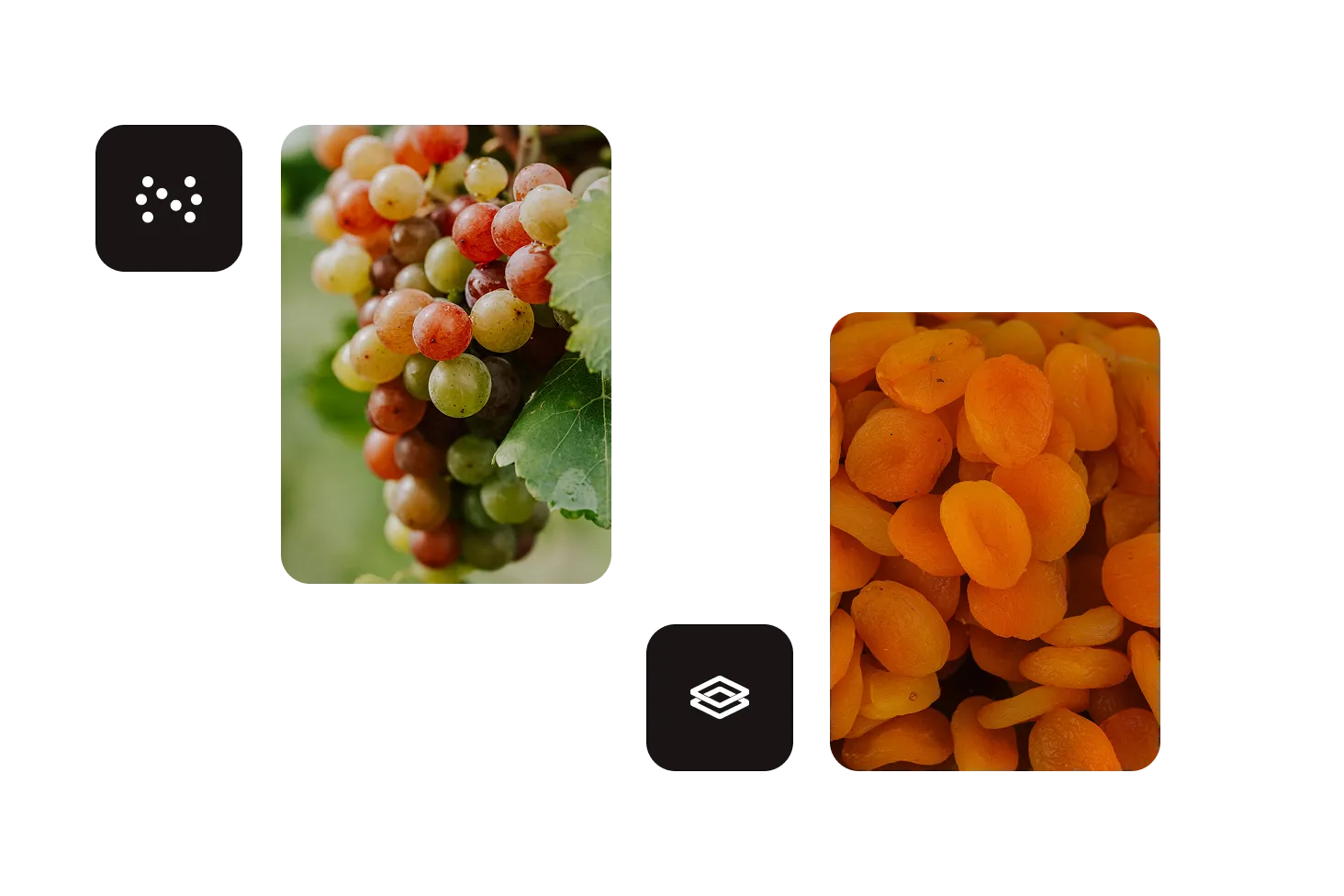 Compare Nutrient to Extend