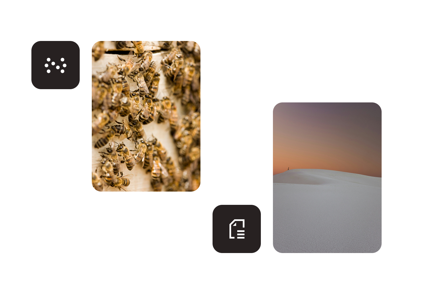 Compare Nutrient to PDF.js Express