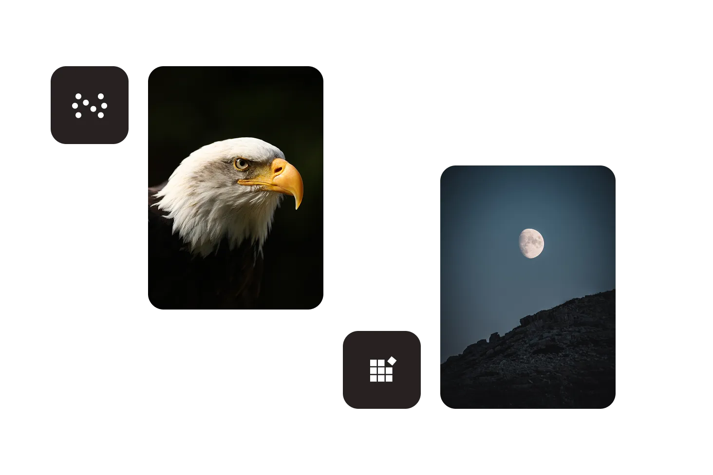 Compare Nutrient to Syncfusion