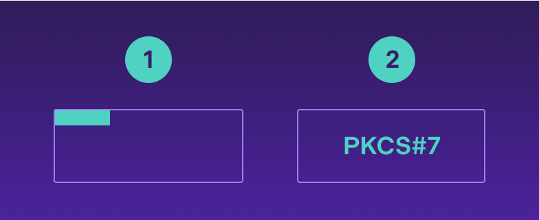 Contained digital signatures