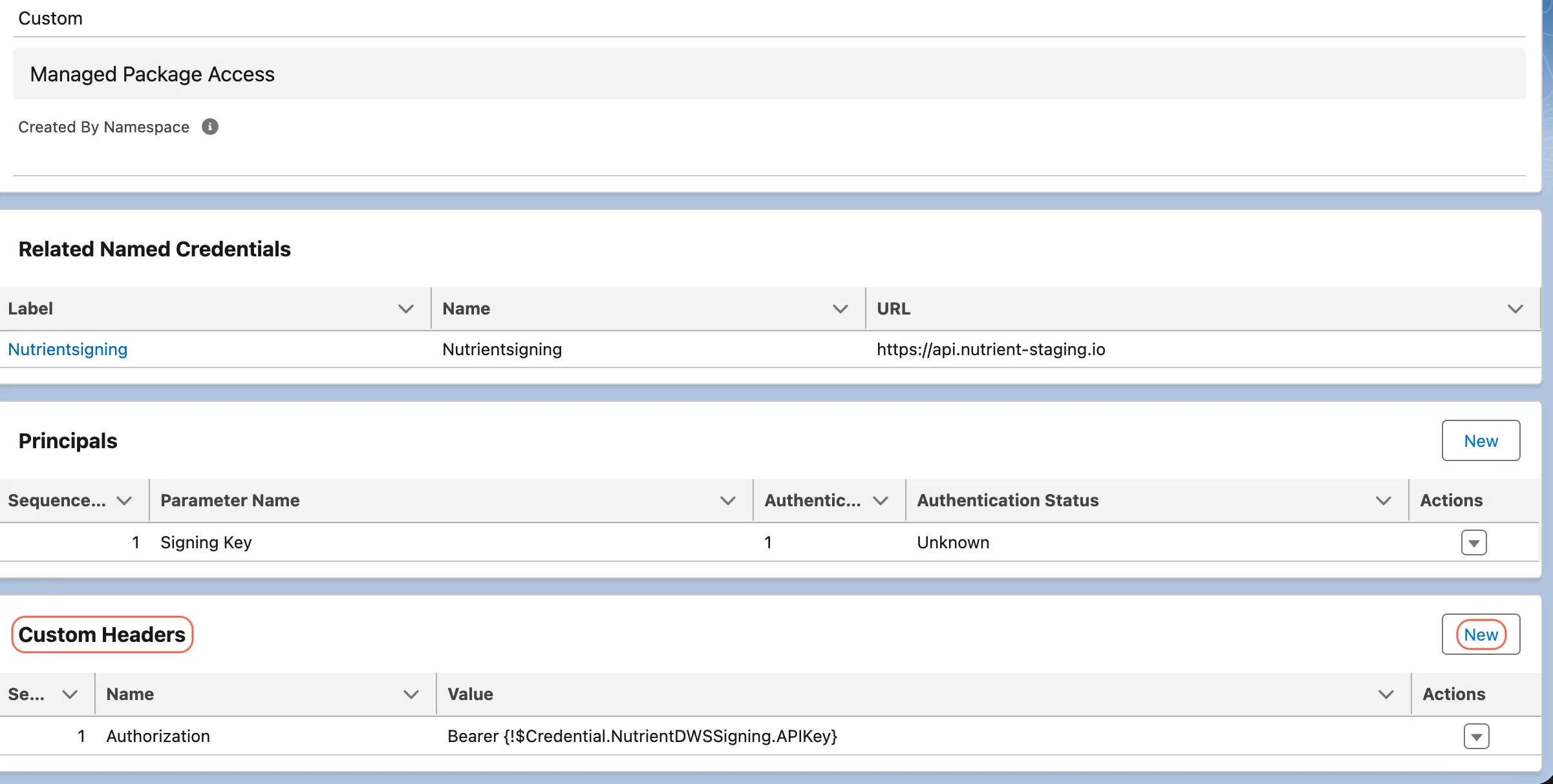 Salesforce External Credential page showing the Custom Headers section and New button