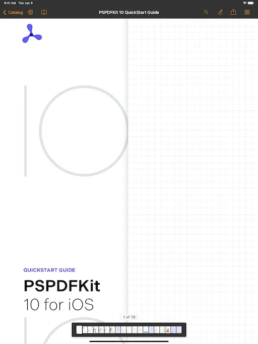 Custom example