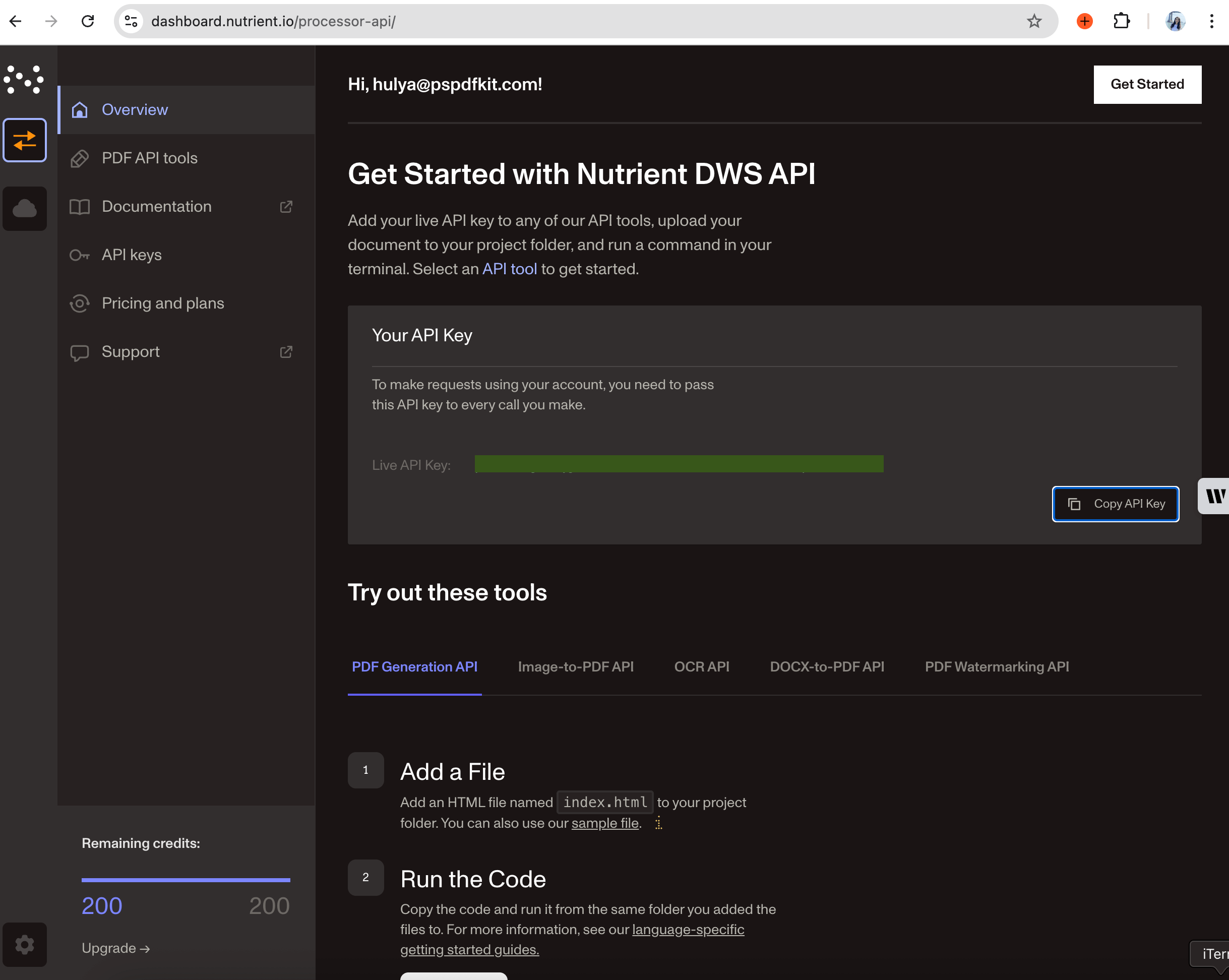 Screenshot of Nutrient DWS Processor API dashboard showing API key management interface and available credits