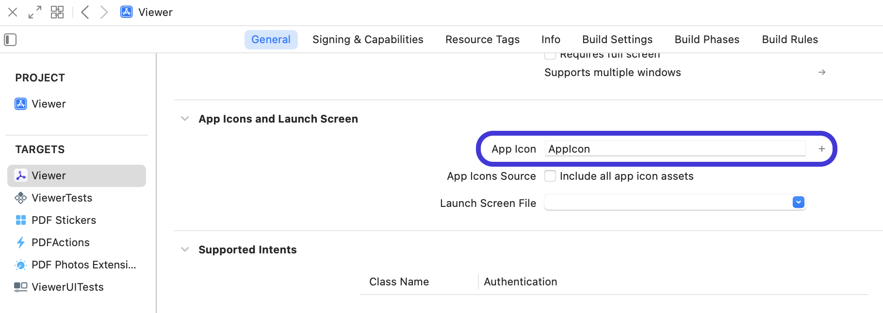 Screenshot of Xcode build settings showing App Icon set to “AppIcon”