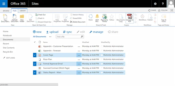 Doclib Selection & Ribbon - Info Page.png
