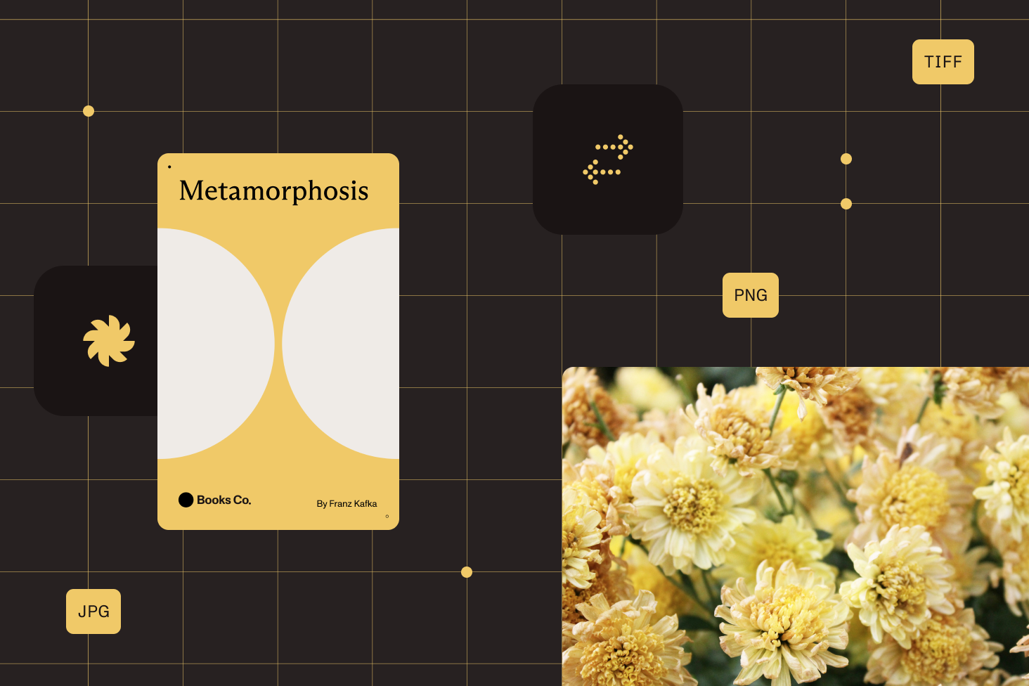 PDF-to-image conversion illustration in Document Engine environment