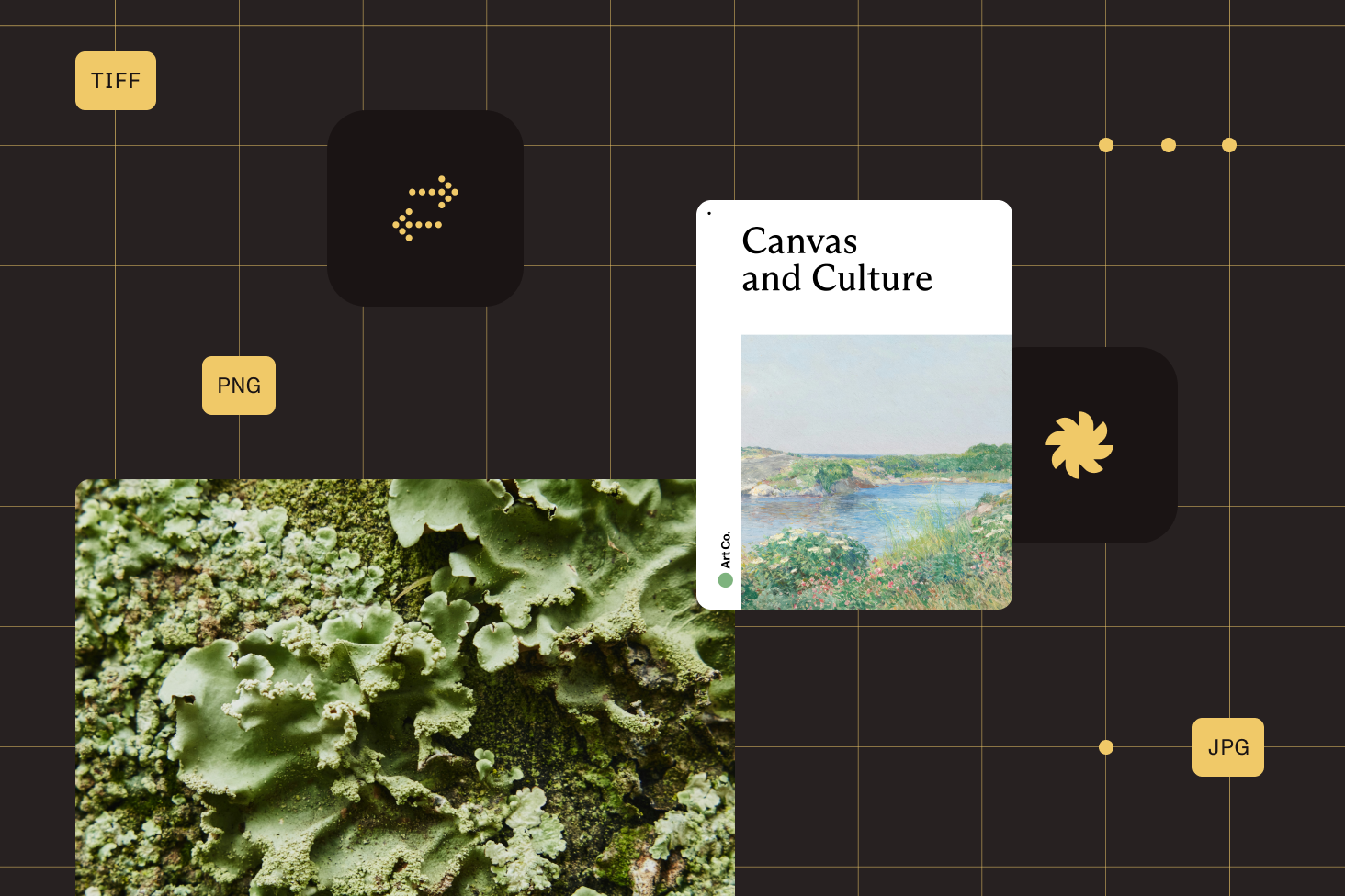 PDF-to-image conversion illustration in .NET environment